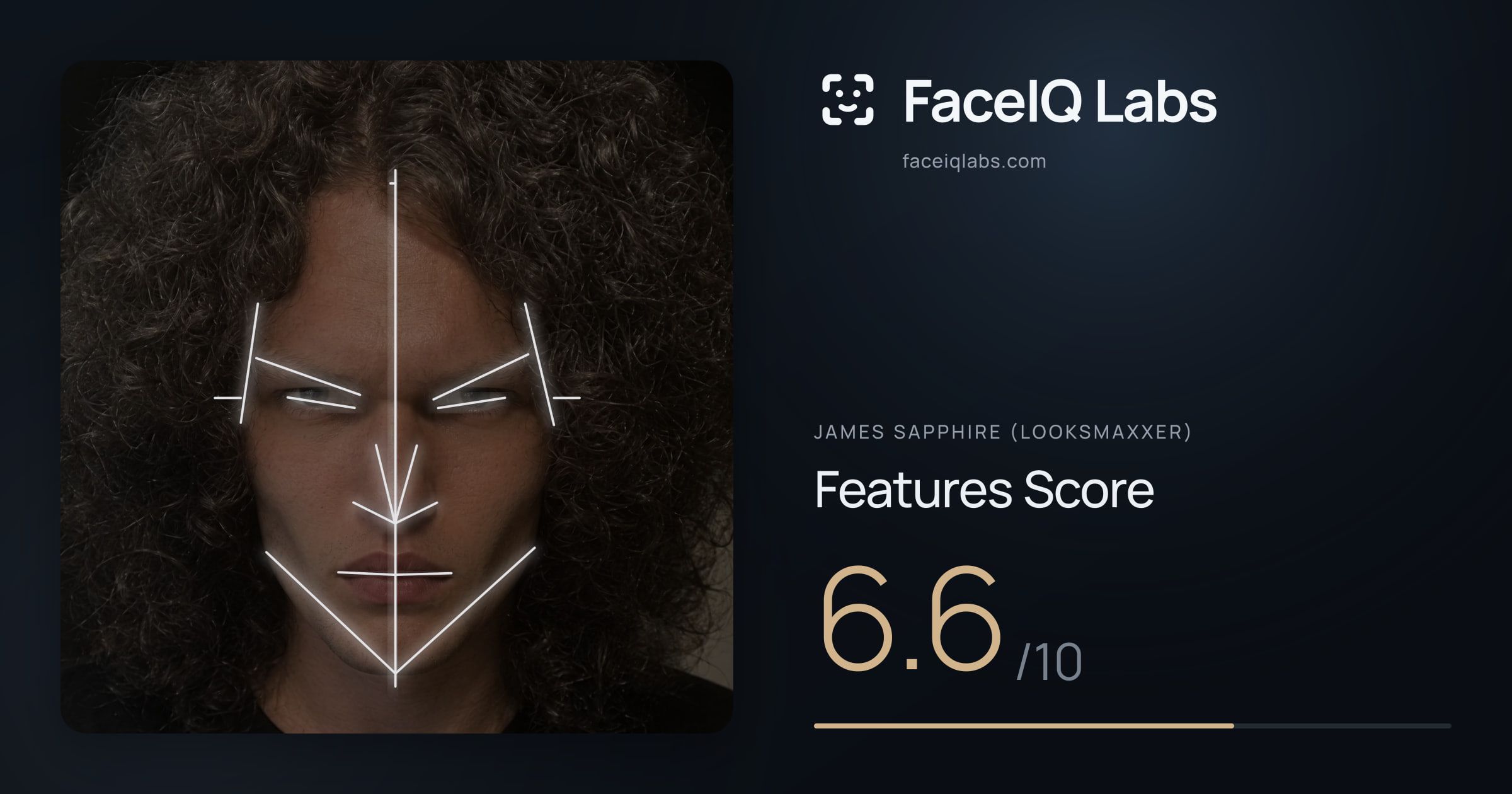 James Sapphire (Looksmaxxer) Features: 6.6/10, with each assessment drawn on the photo