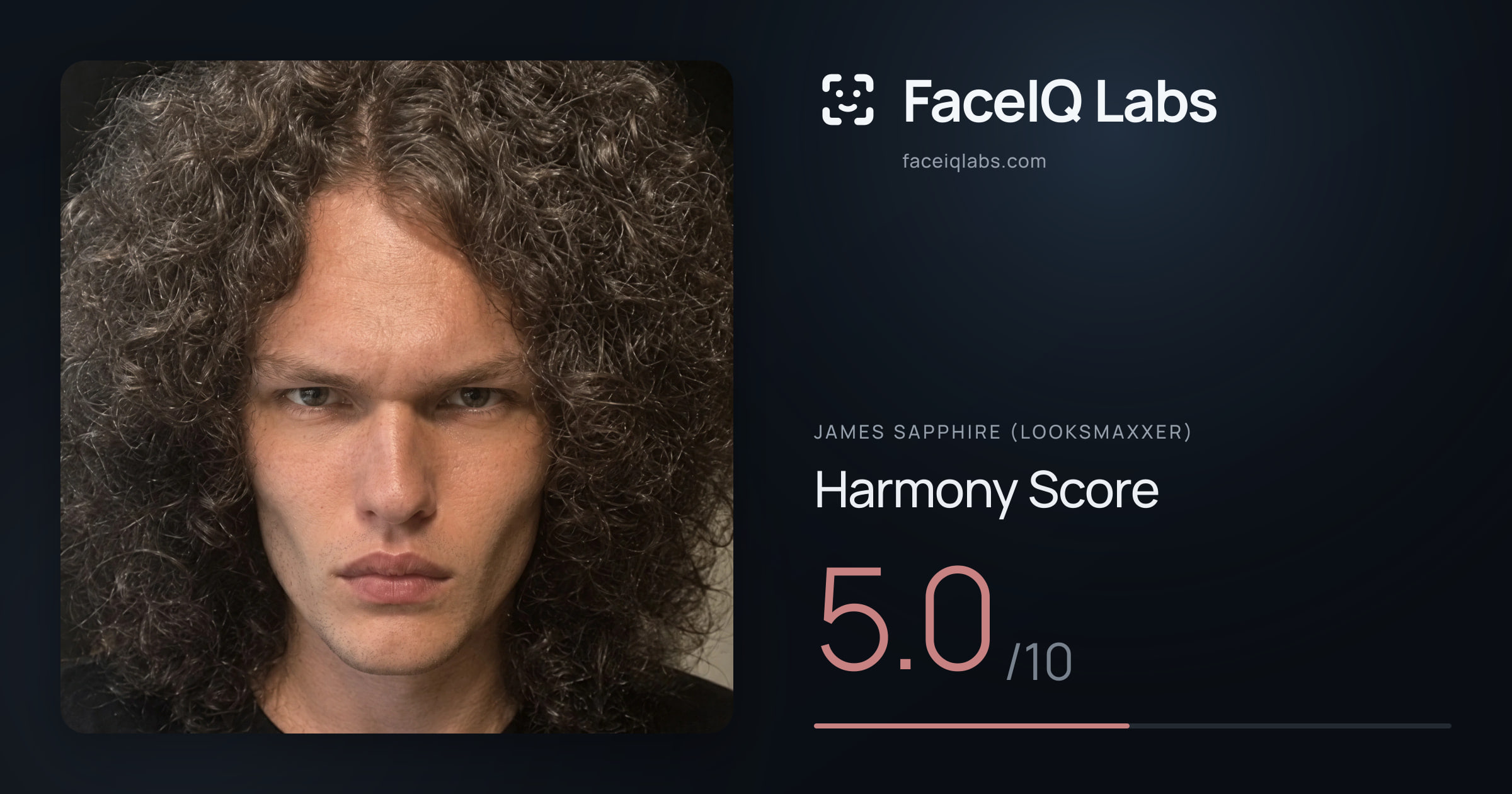 James Sapphire (Looksmaxxer) Harmony: 5.0/10, with each ratio's score
