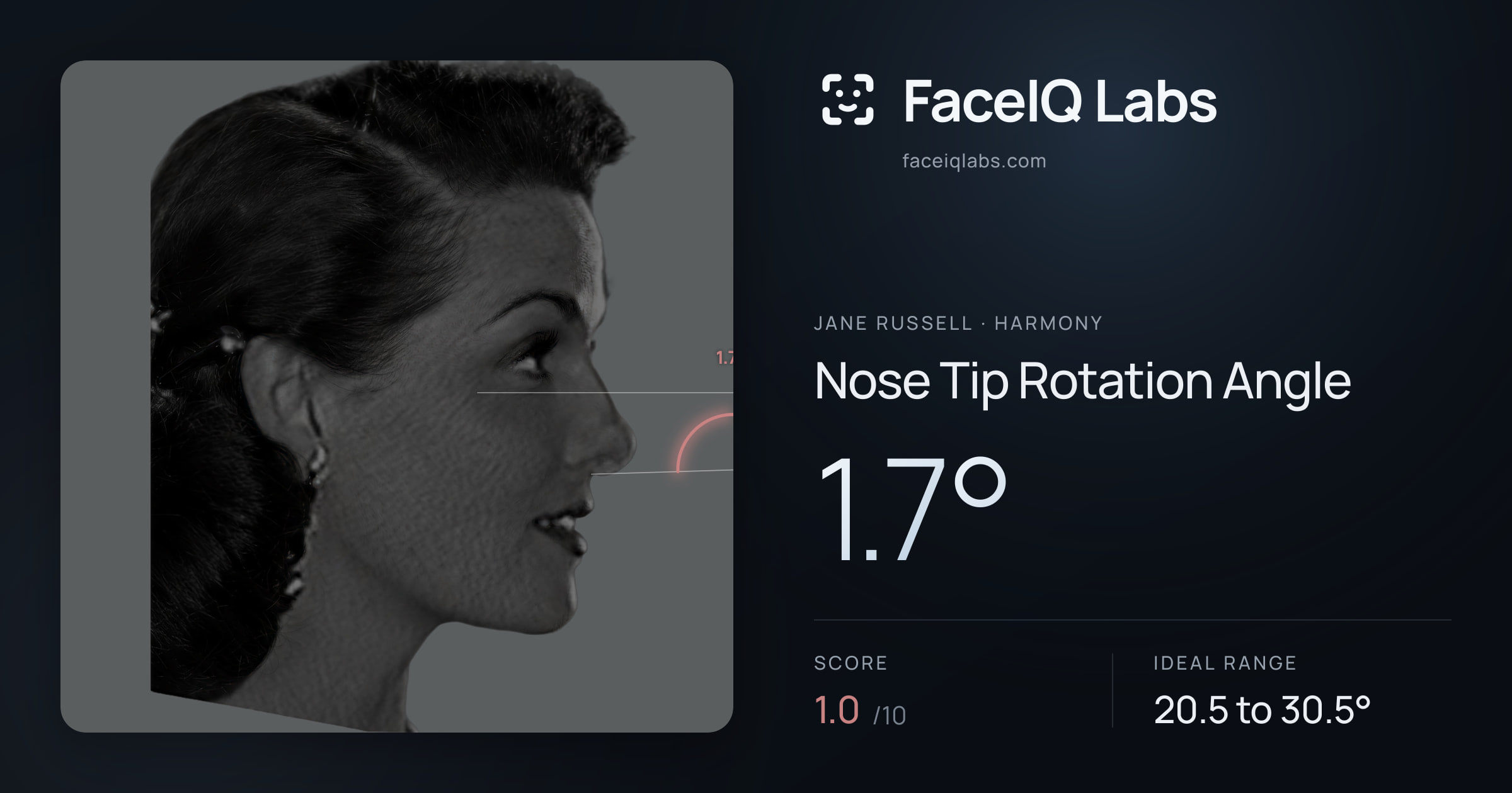 Jane Russell Nose Tip Rotation Angle: 1.7°, drawn on the photo