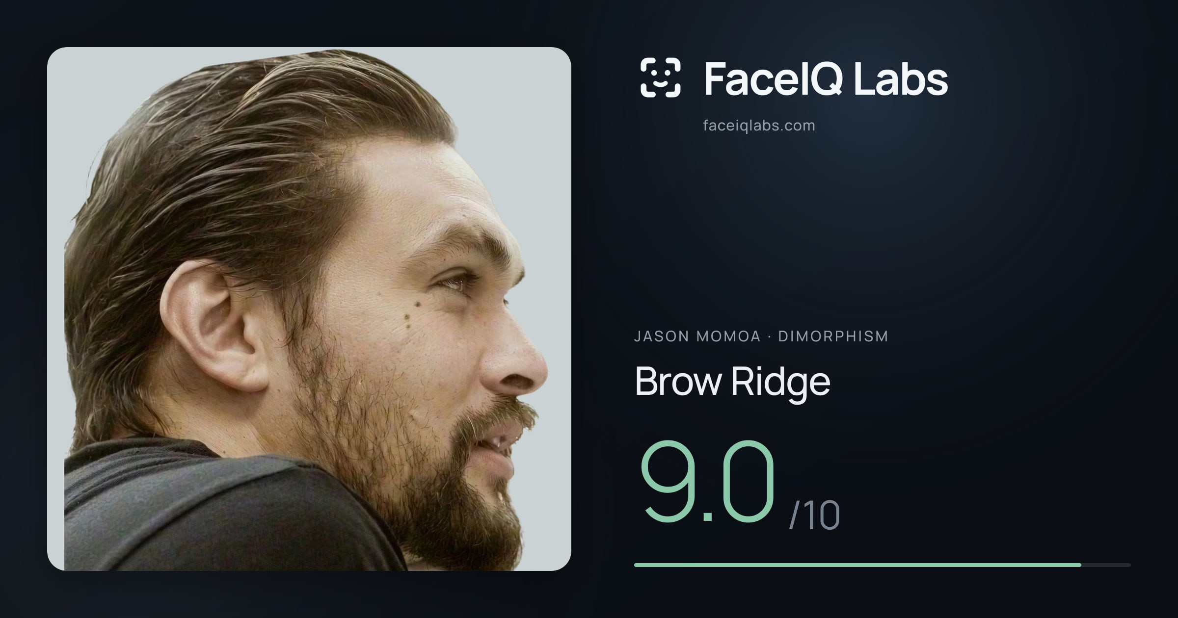Jason Momoa Brow Ridge: 9.0/10, drawn on the photo