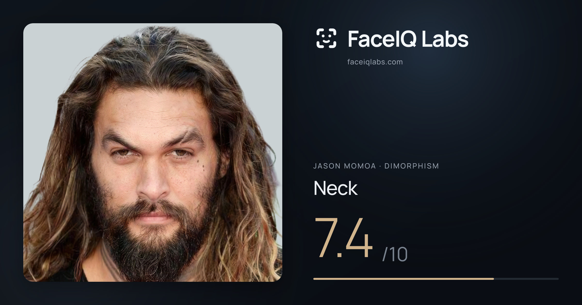 Jason Momoa Neck: 7.4/10, drawn on the photo