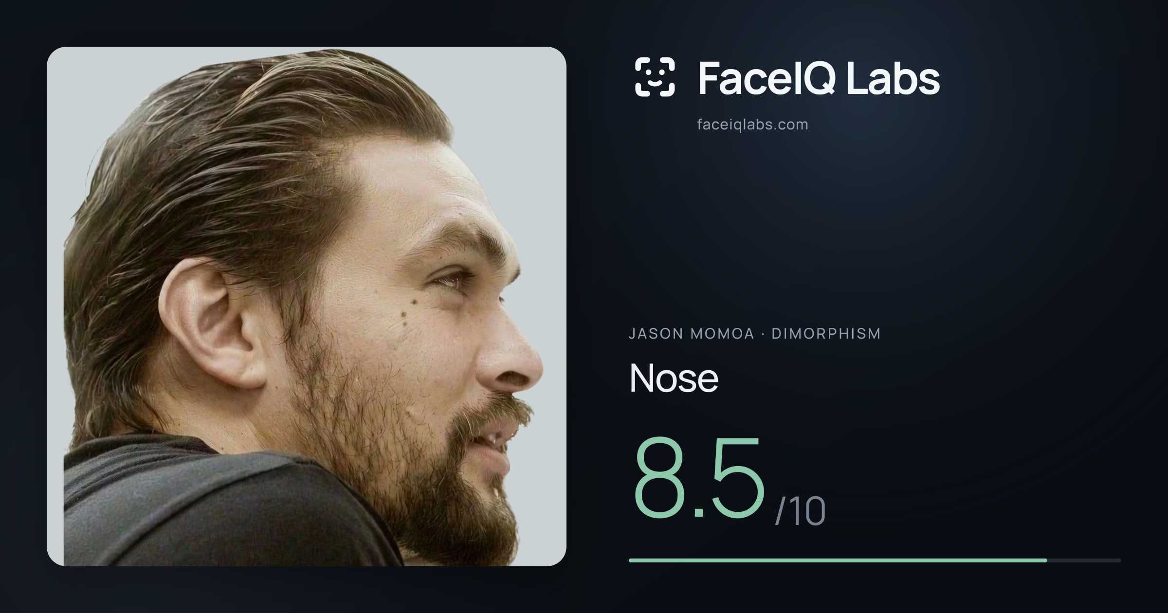 Jason Momoa Nose: 8.5/10, drawn on the photo