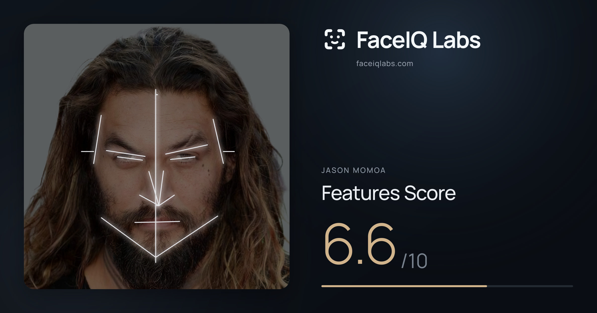 Jason Momoa Features: 6.6/10, with each assessment drawn on the photo