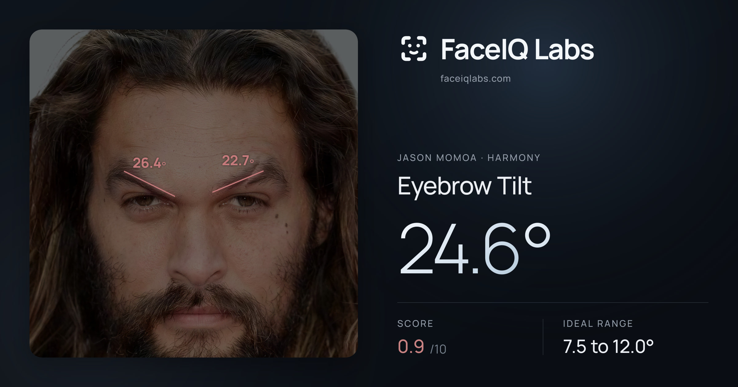 Jason Momoa Eyebrow Tilt: 23.3°, drawn on the photo