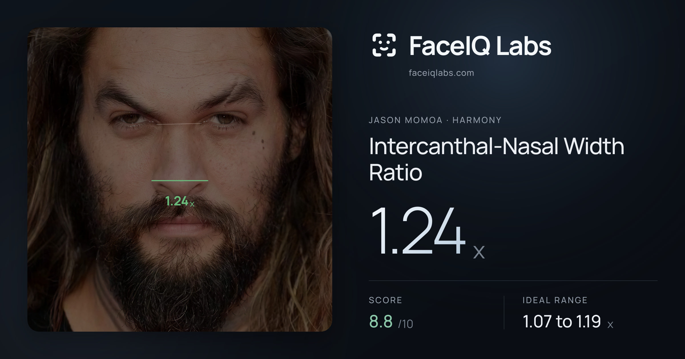 Jason Momoa Intercanthal-Nasal Width Ratio: 1.24x, drawn on the photo