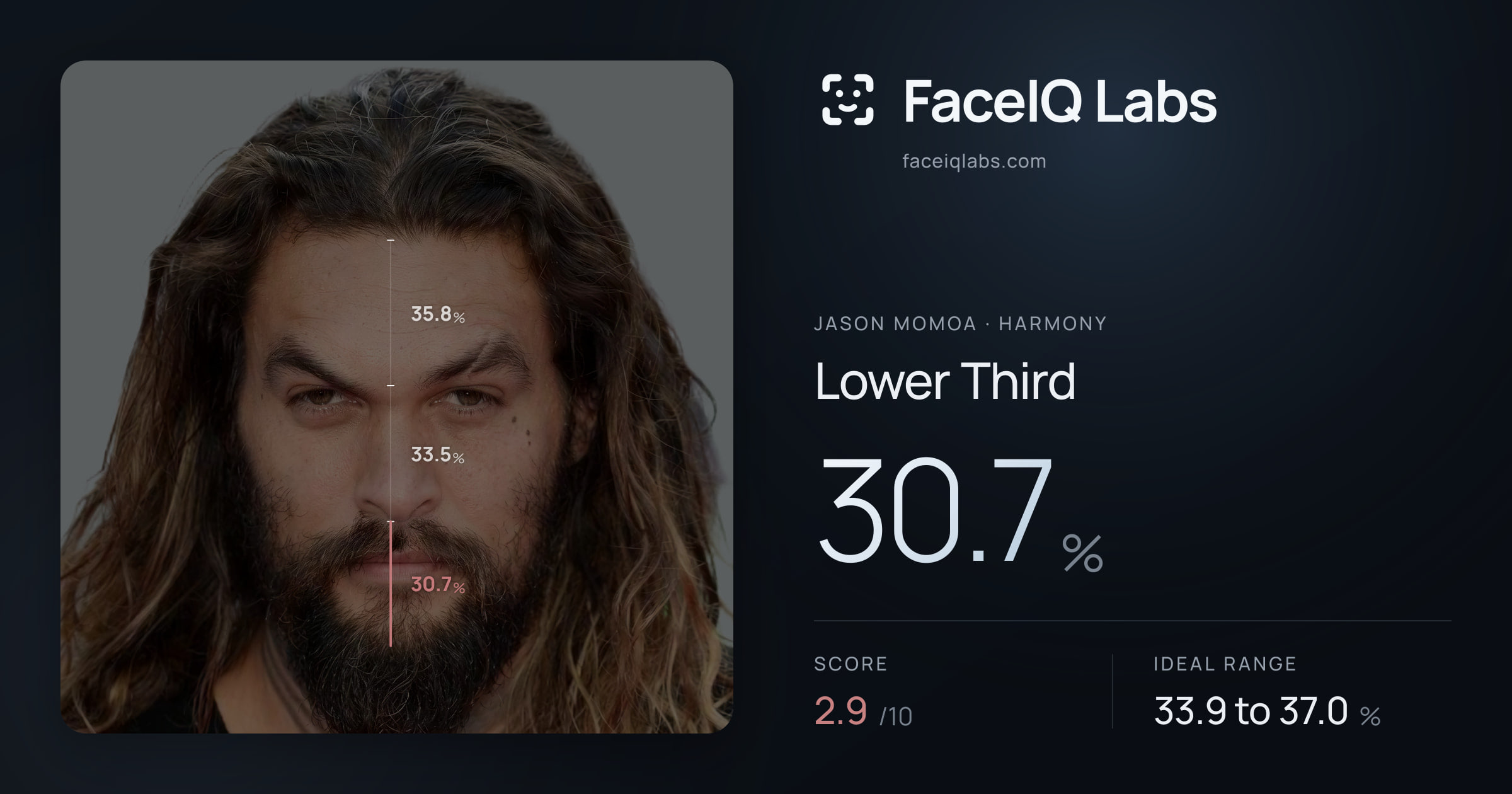 Jason Momoa Lower Third: 30.7%, drawn on the photo