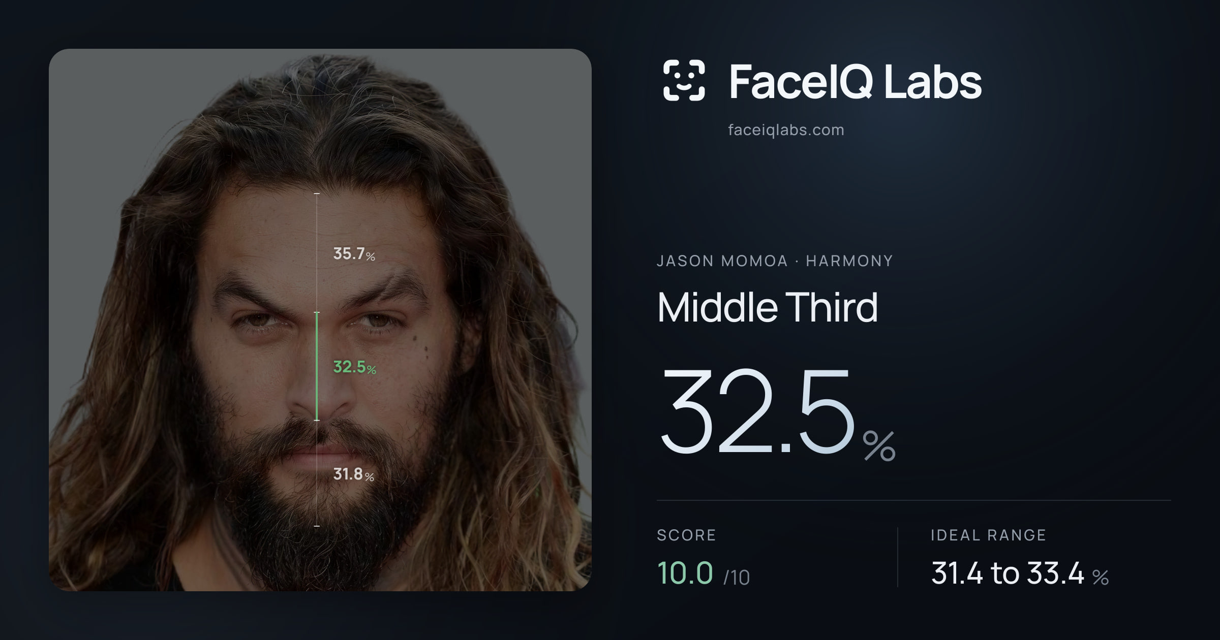 Jason Momoa Middle Third: 33.5%, drawn on the photo