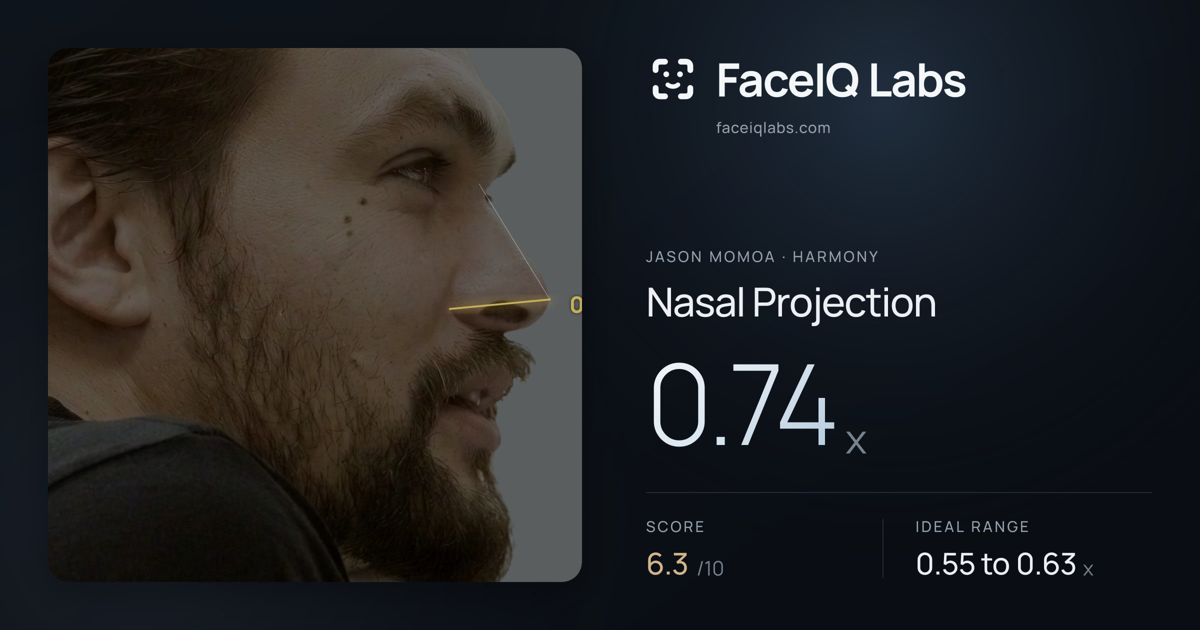 Jason Momoa Nasal Projection: 0.74x, drawn on the photo