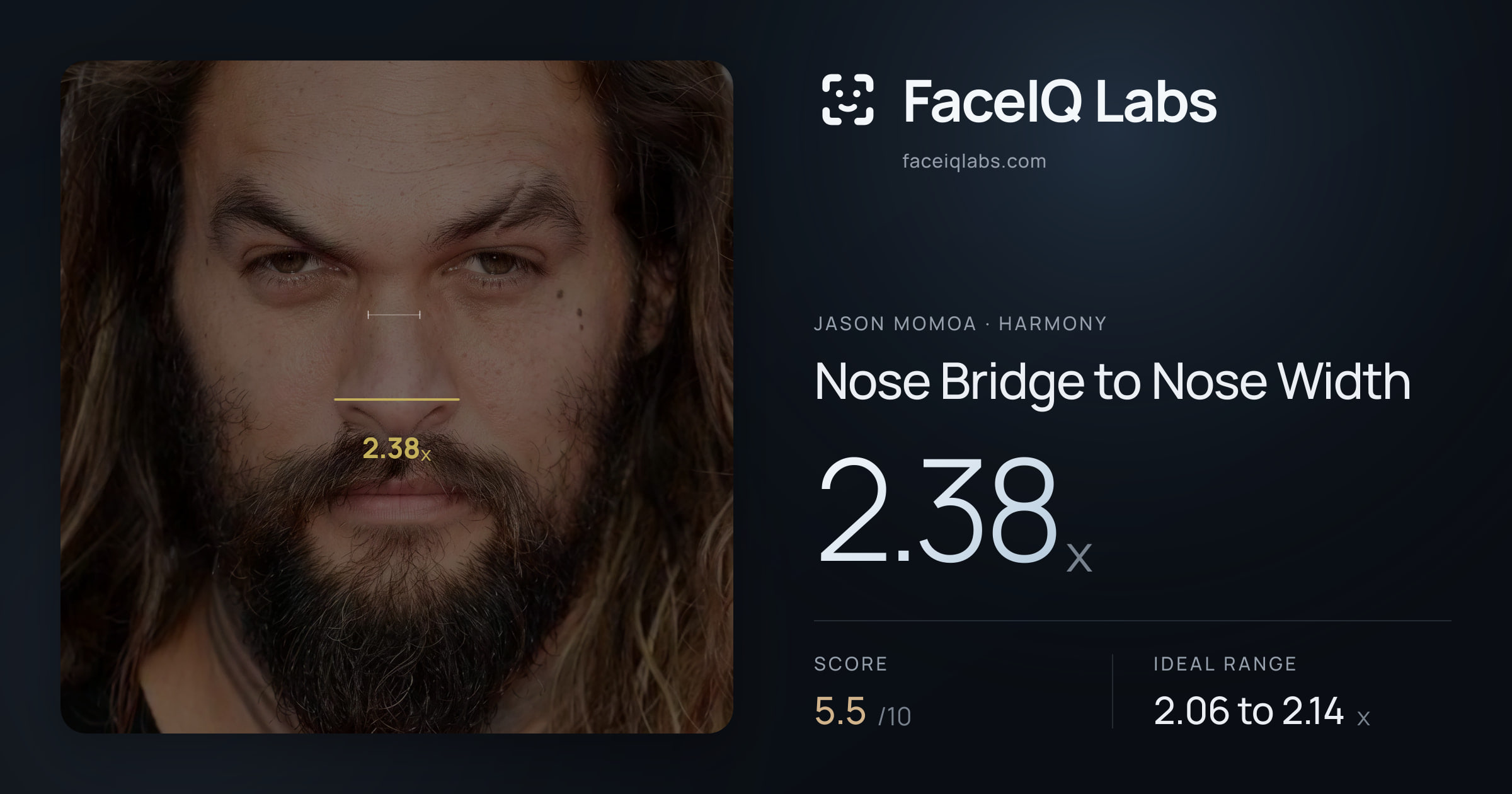 Jason Momoa Nose Bridge to Nose Width: 2.38x, drawn on the photo