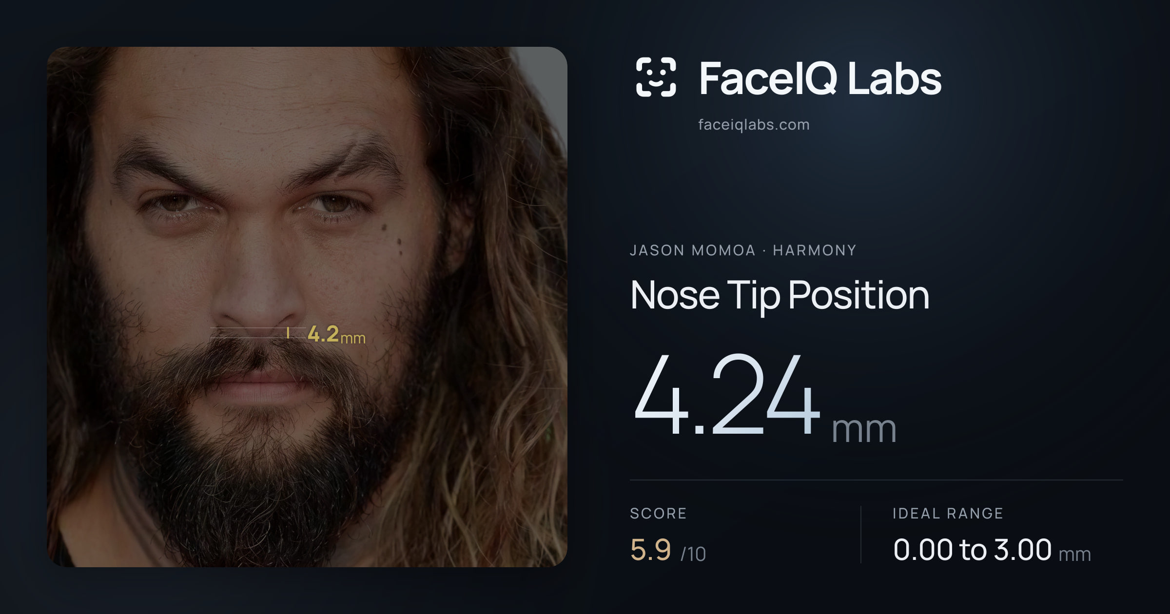 Jason Momoa Nose Tip Position: 4.31mm, drawn on the photo