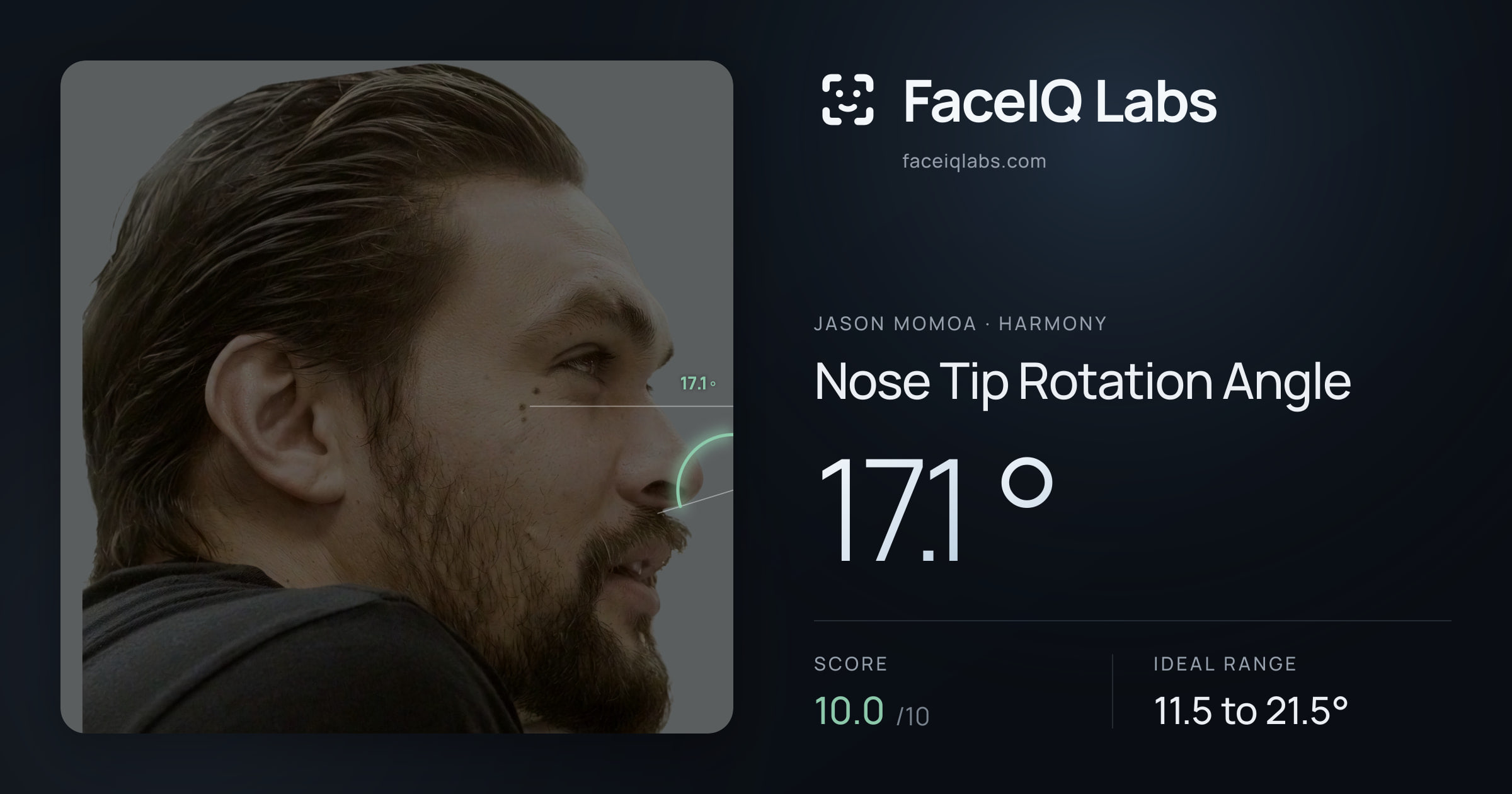 Jason Momoa Nose Tip Rotation Angle: 17.1°, drawn on the photo