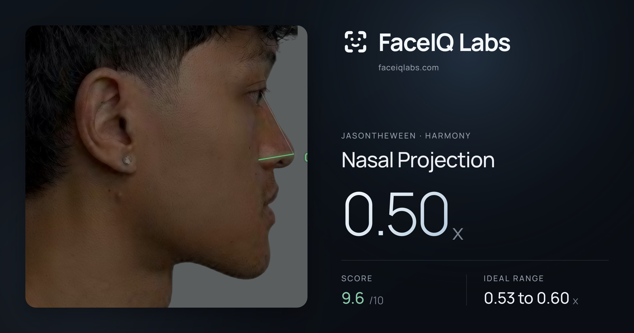 Jasontheween Nasal Projection: 0.50x, drawn on the photo