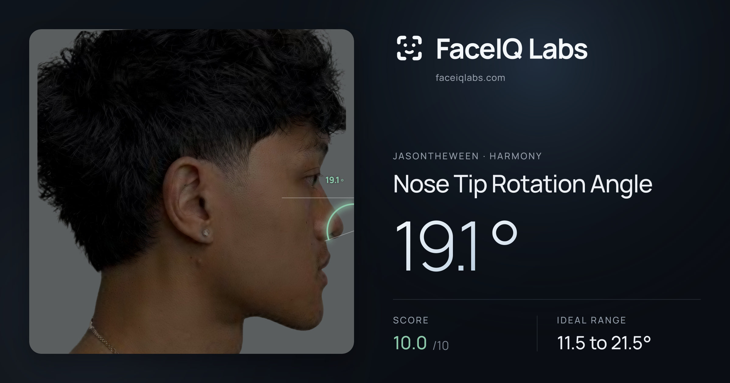 Jasontheween Nose Tip Rotation Angle: 19.1°, drawn on the photo