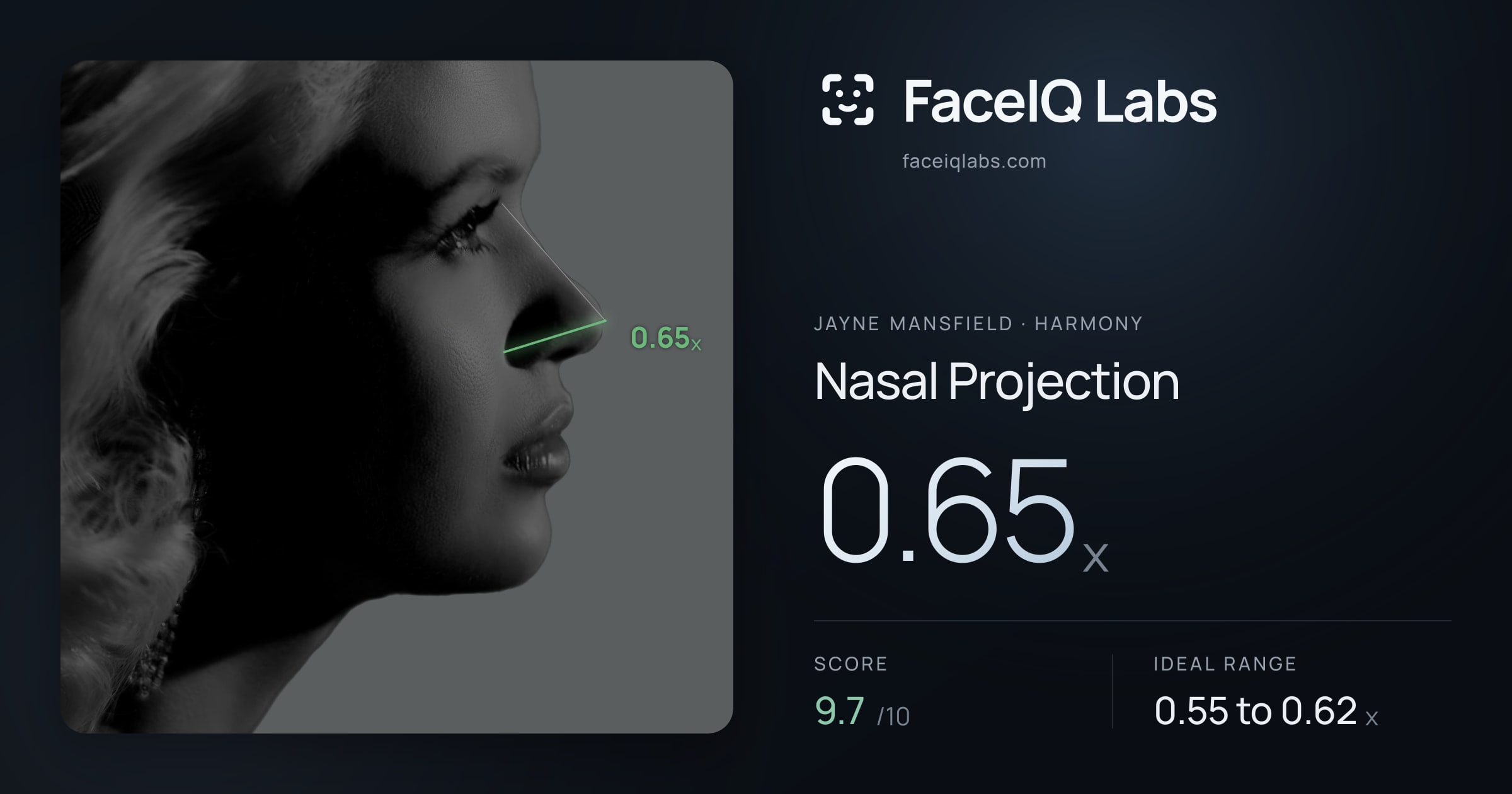 Jayne Mansfield Nasal Projection: 0.65x, drawn on the photo
