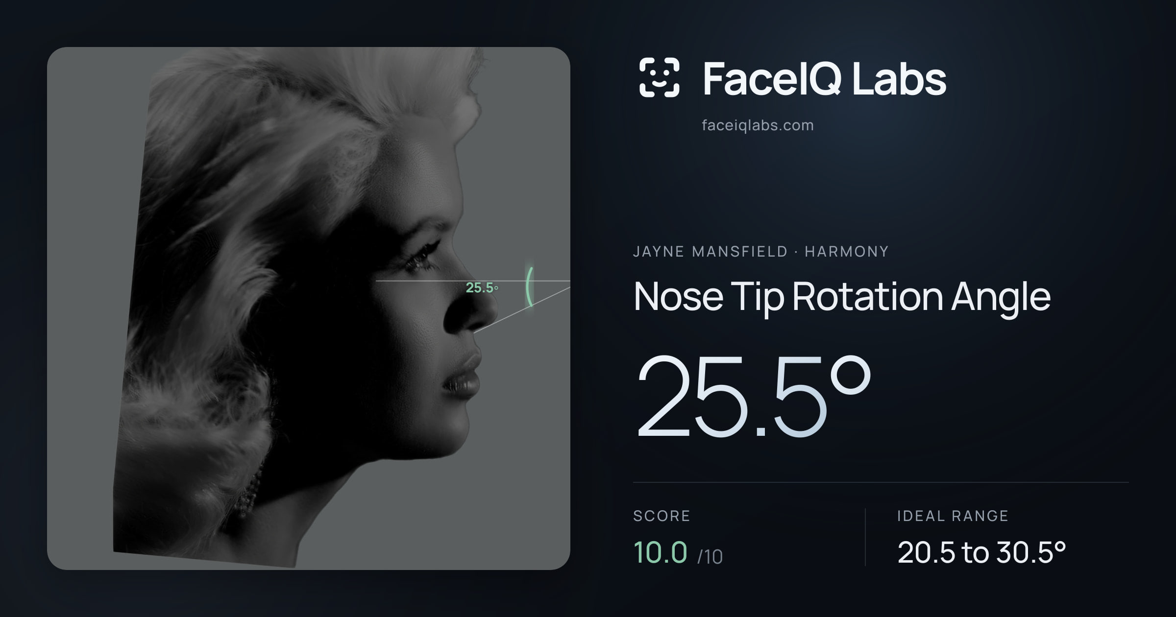 Jayne Mansfield Nose Tip Rotation Angle: 25.5°, drawn on the photo