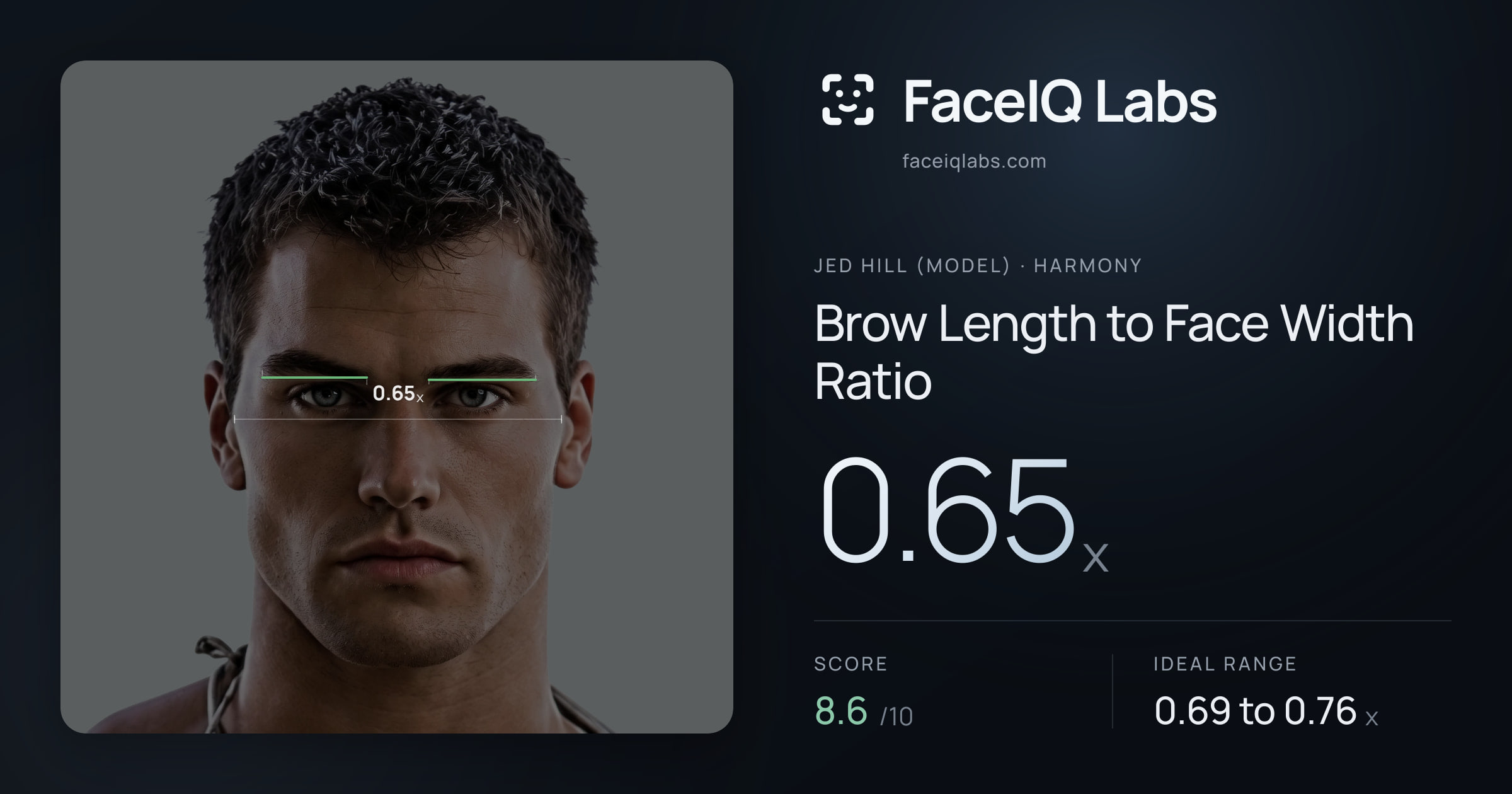 Jed Hill (Model) Brow Length to Face Width Ratio: 0.65x, drawn on the photo