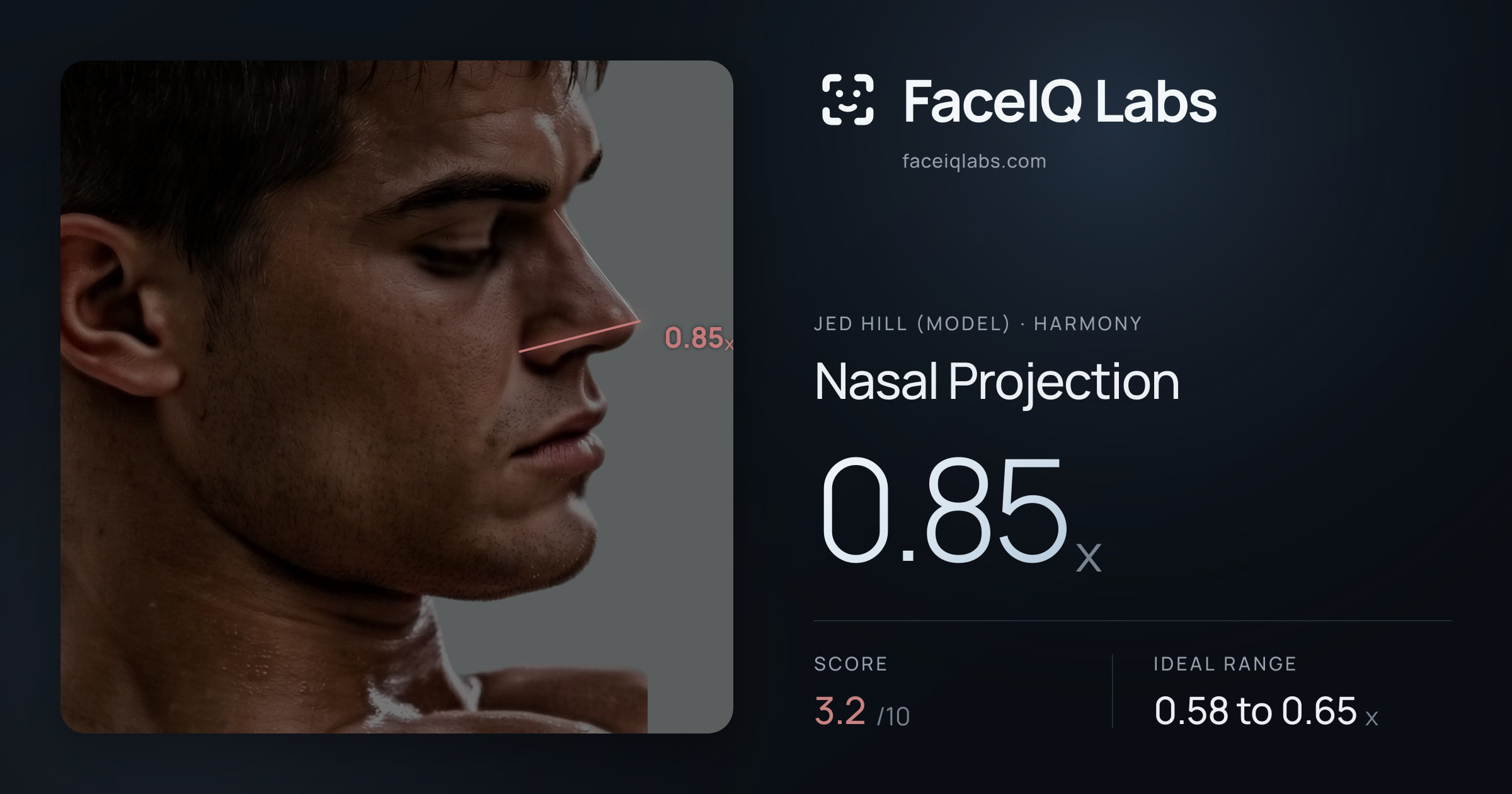 Jed Hill (Model) Nasal Projection: 0.85x, drawn on the photo