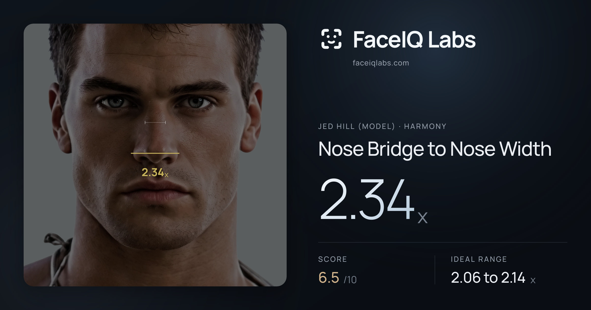 Jed Hill (Model) Nose Bridge to Nose Width: 2.34x, drawn on the photo