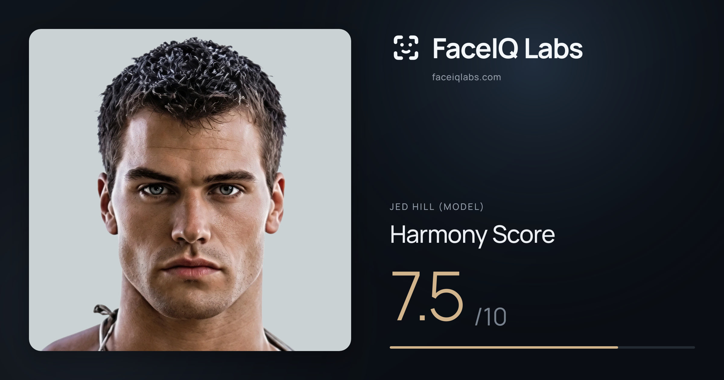 Jed Hill (Model) Harmony: 7.5/10, with each ratio's score