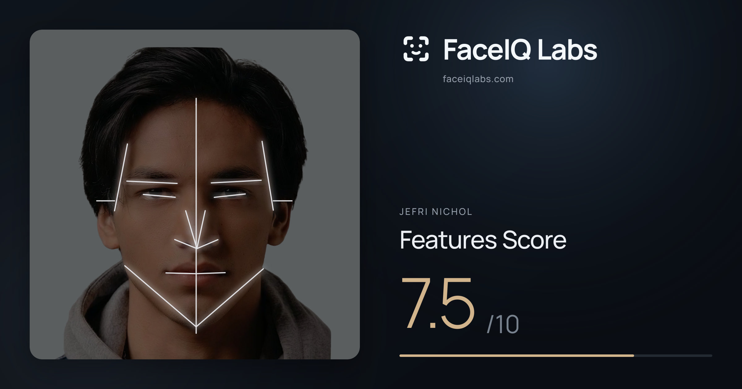 Jefri Nichol Features: 7.5/10, with each assessment drawn on the photo