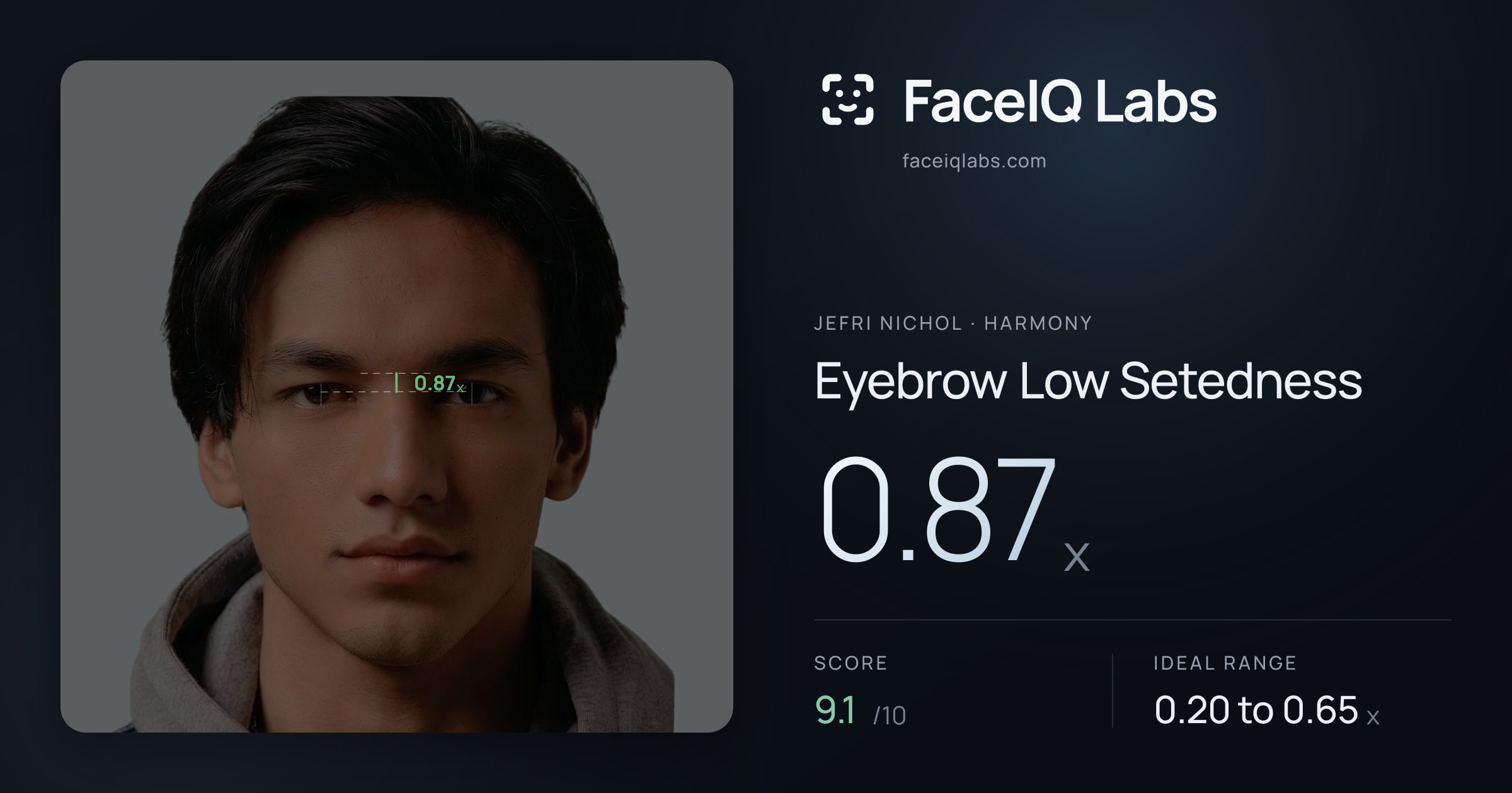 Jefri Nichol Eyebrow Low Setedness: 0.87x, drawn on the photo