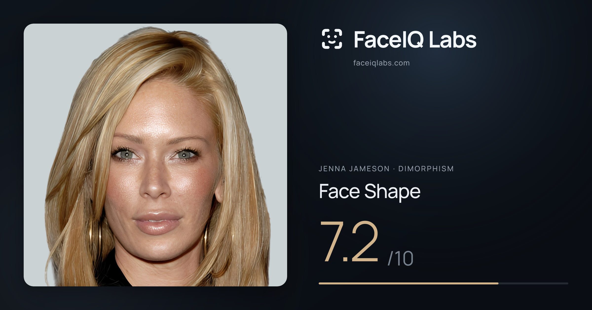 Jenna Jameson Face Shape: 7.2/10, drawn on the photo