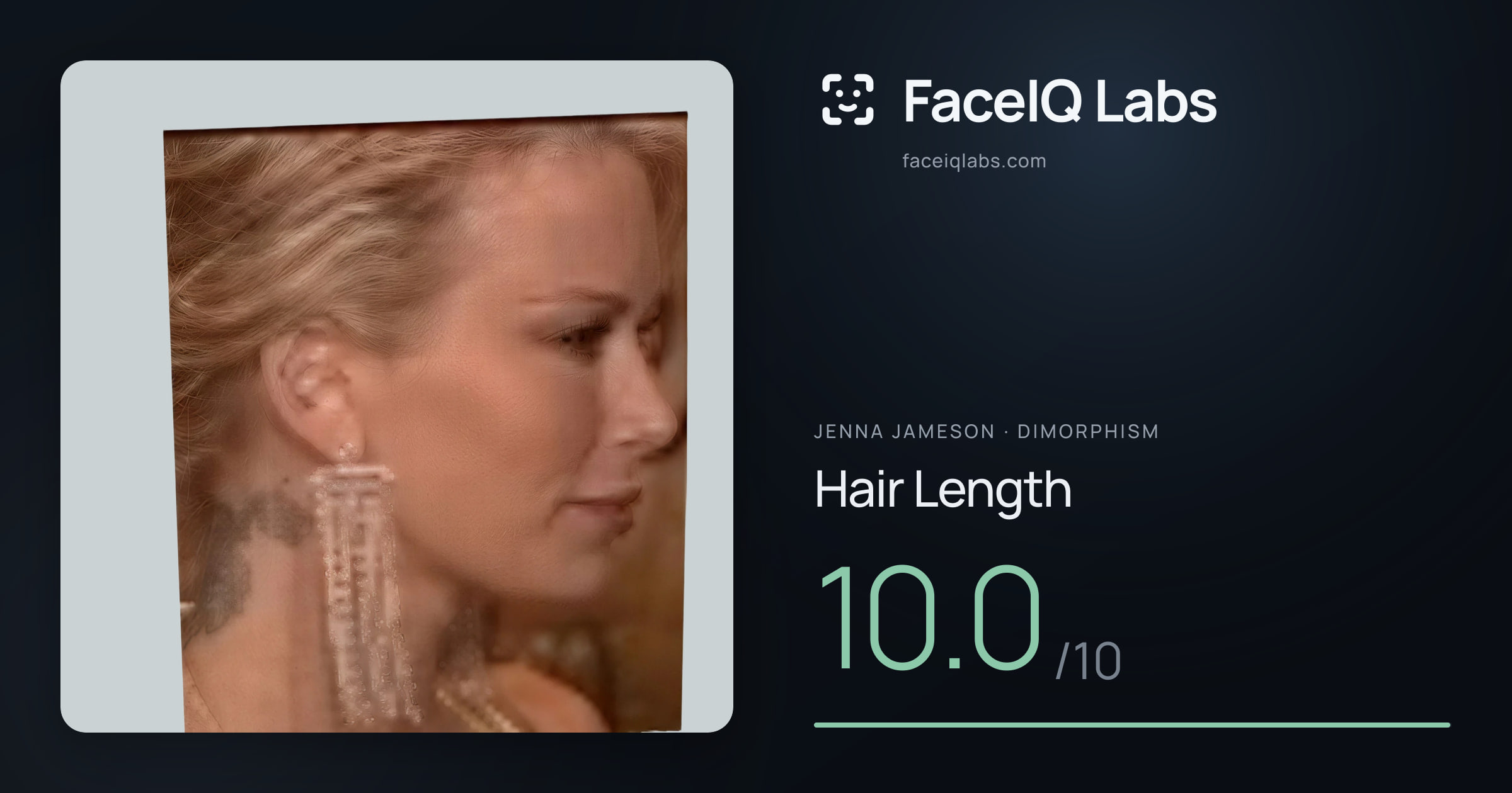 Jenna Jameson Hair Length: 10.0/10, drawn on the photo