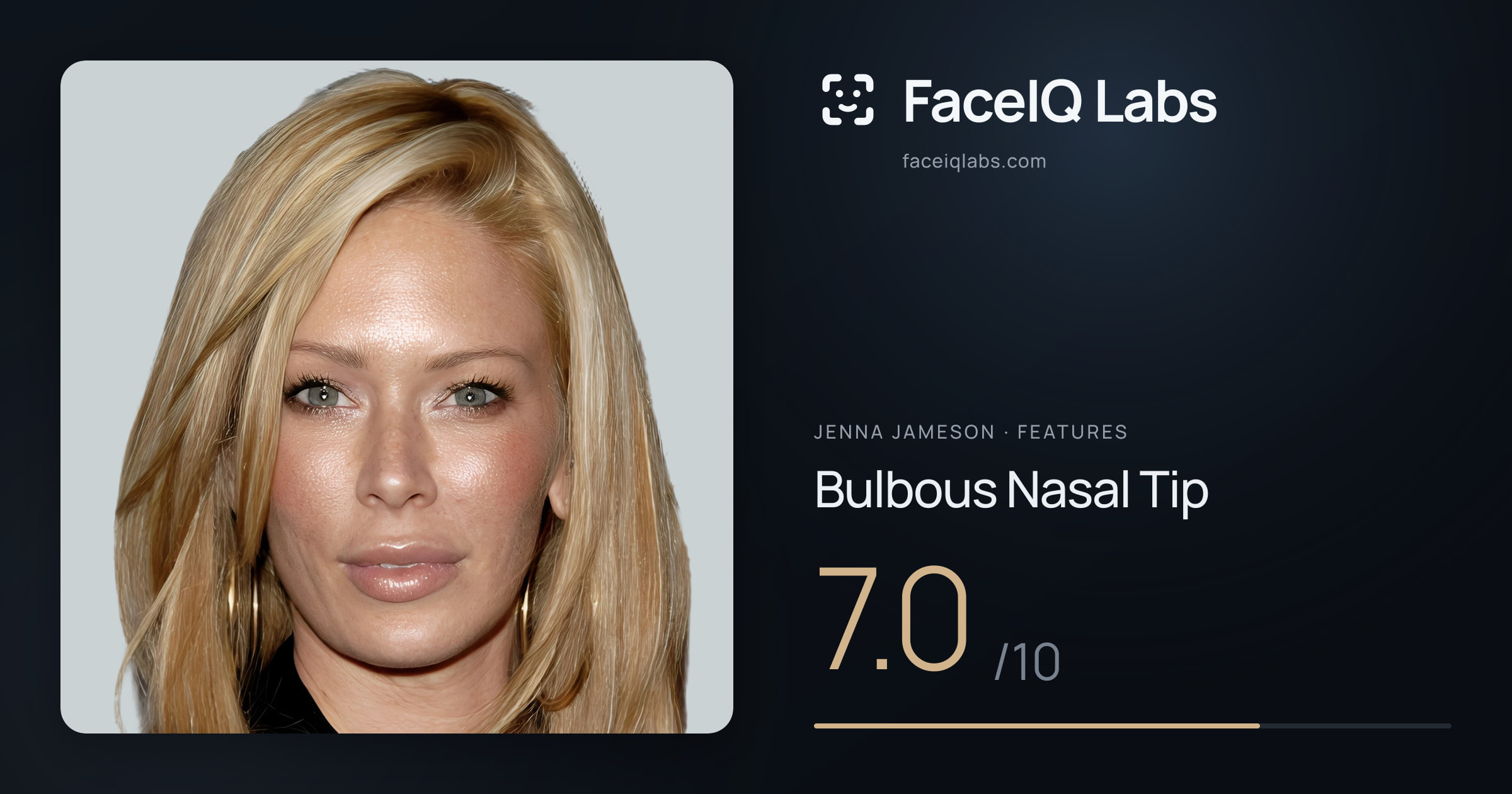 Jenna Jameson Bulbous Nasal Tip: 7.0/10, drawn on the photo