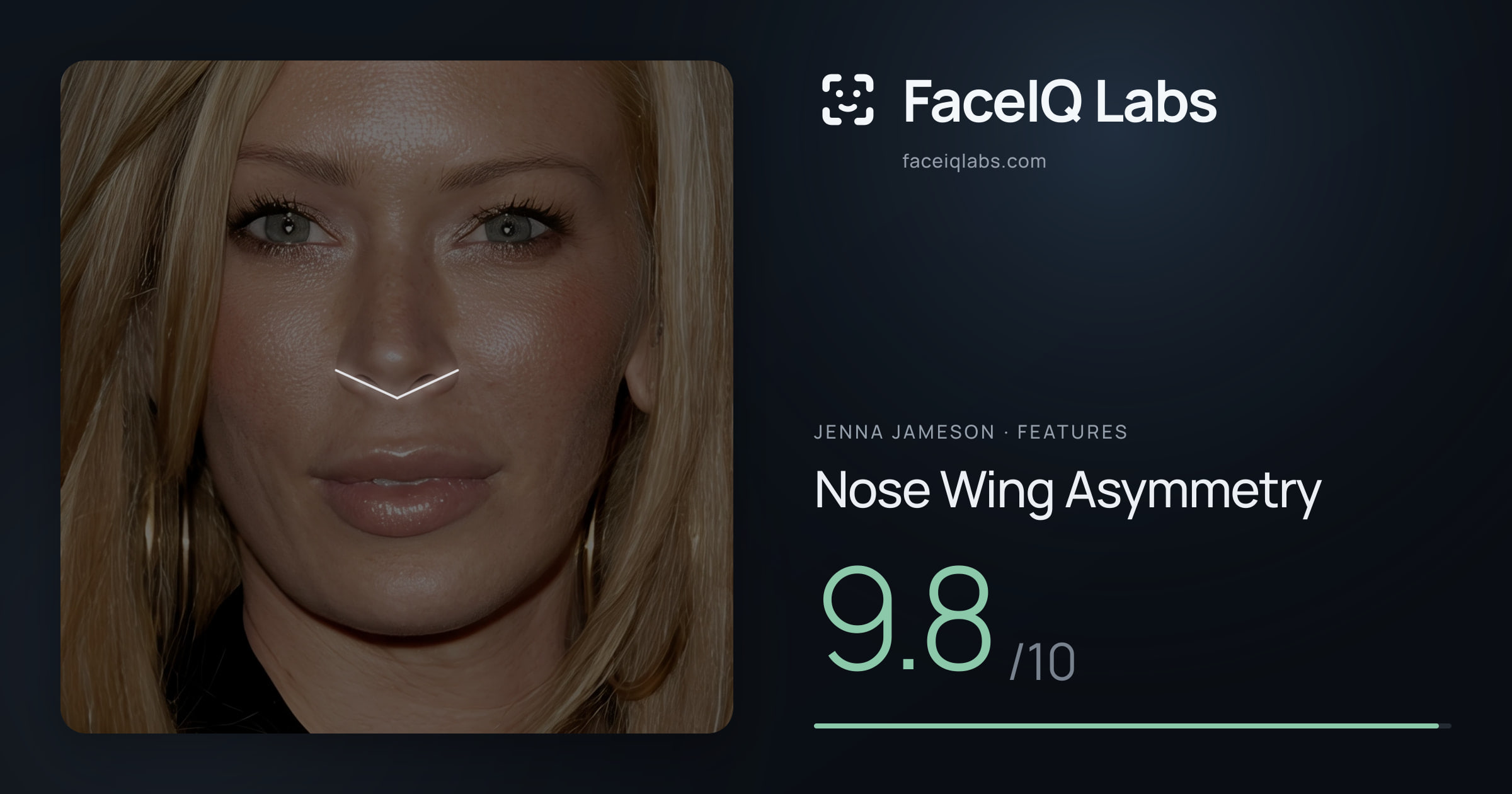 Jenna Jameson Nose Wing Asymmetry: 9.8/10, drawn on the photo