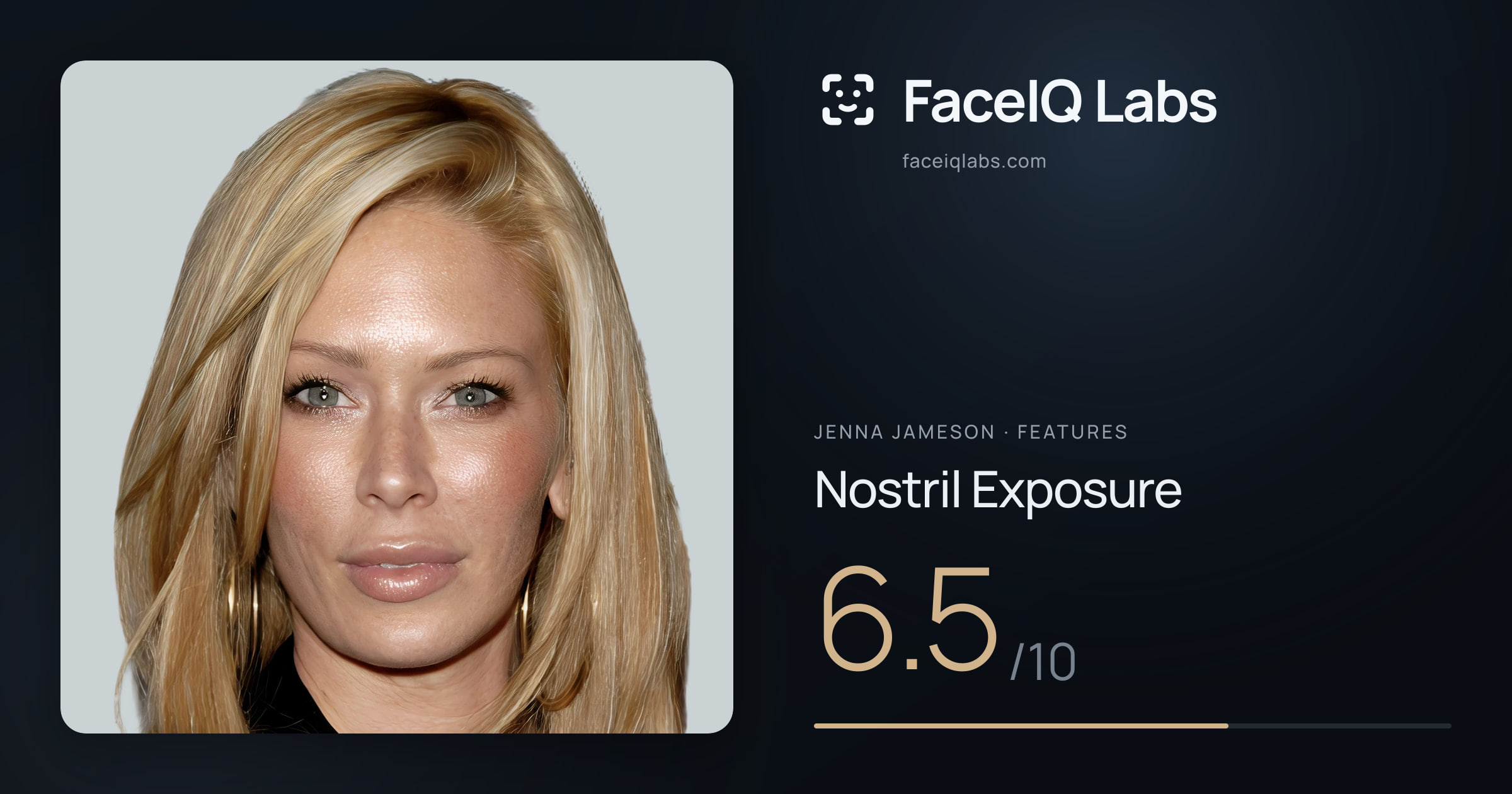 Jenna Jameson Nostril Exposure: 6.5/10, drawn on the photo
