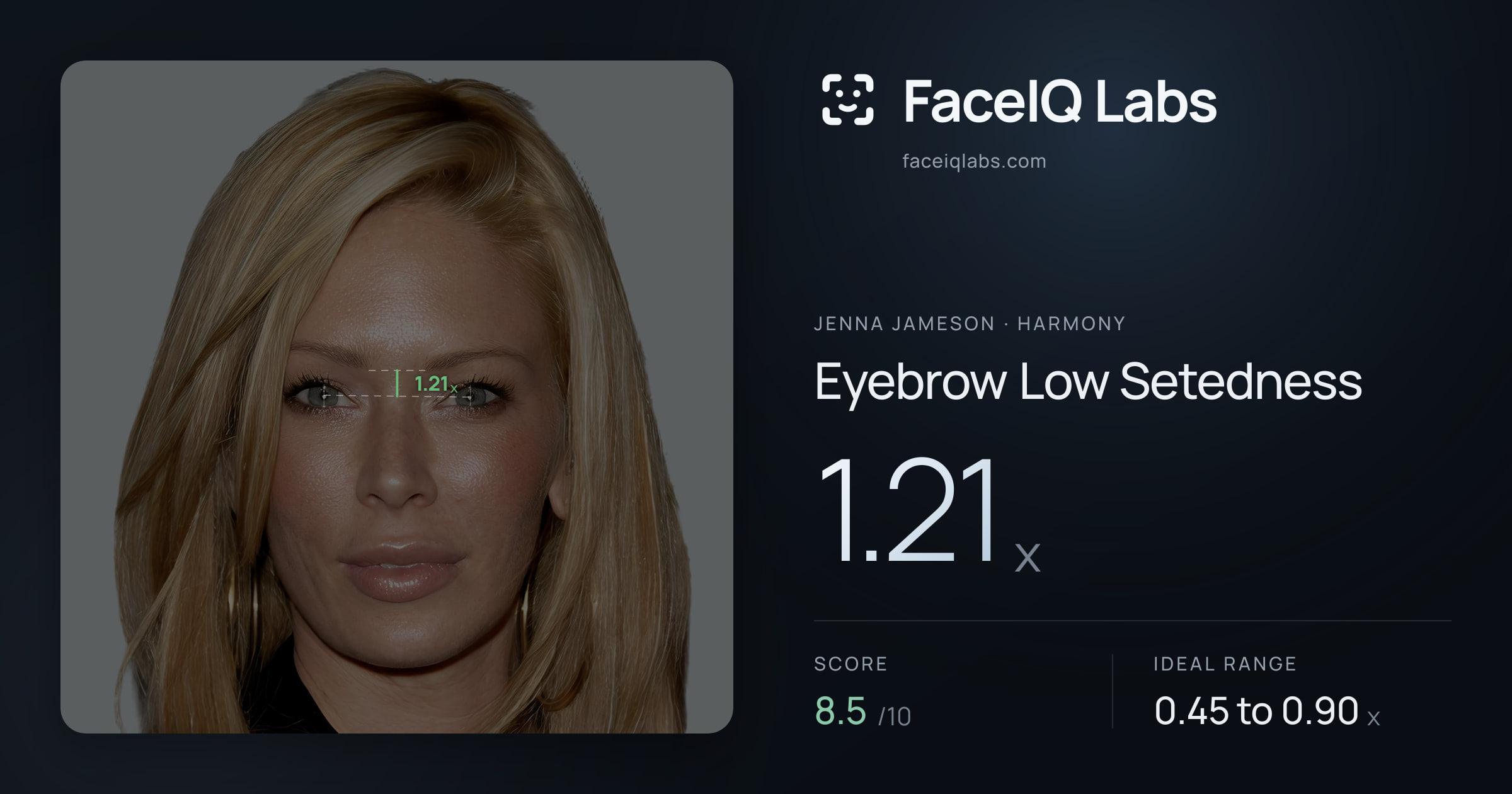 Jenna Jameson Eyebrow Low Setedness: 1.21x, drawn on the photo