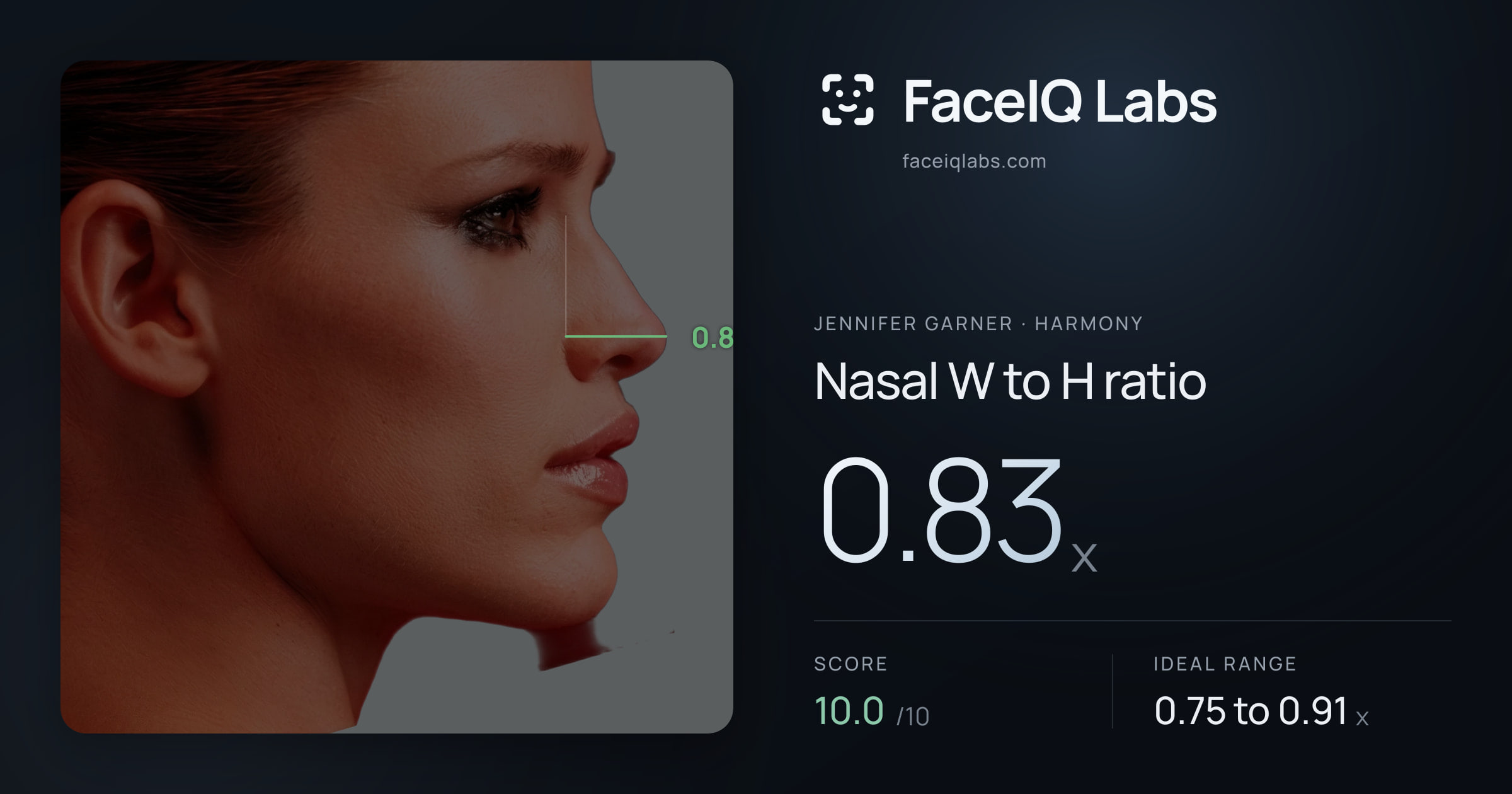 Jennifer Garner Nasal W to H ratio: 0.83x, drawn on the photo