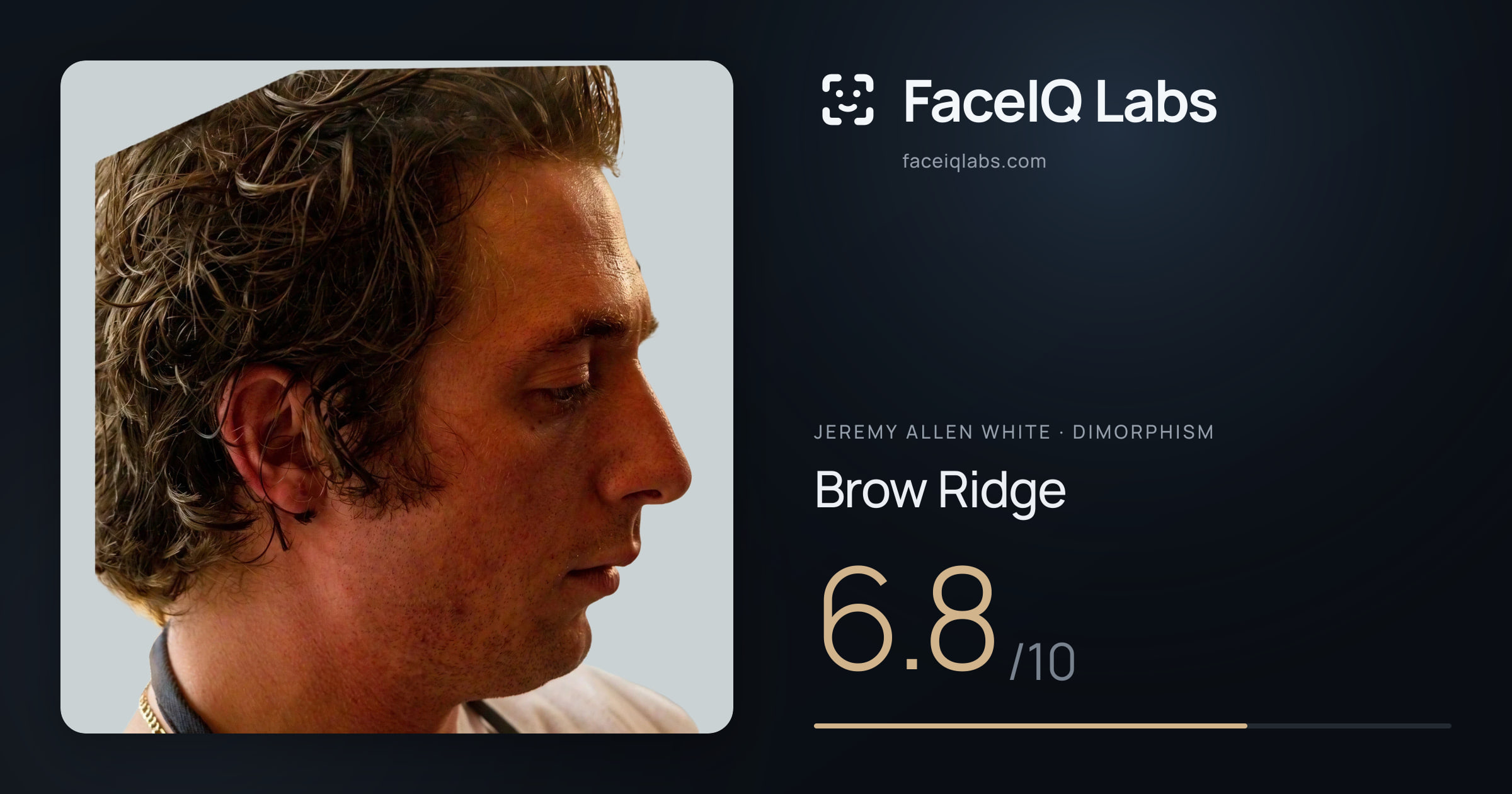 Jeremy Allen White Brow Ridge: 6.8/10, drawn on the photo