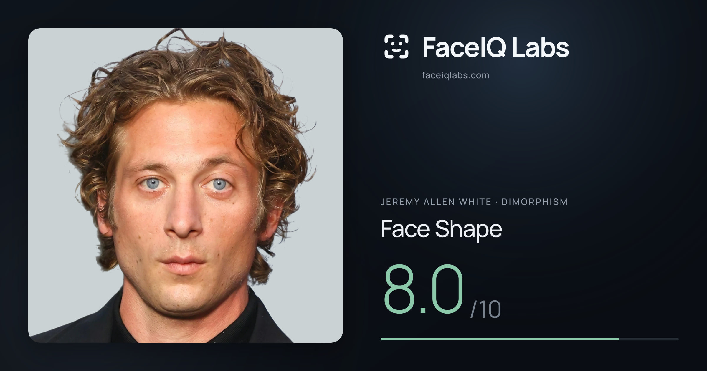 Jeremy Allen White Face Shape: 8.0/10, drawn on the photo