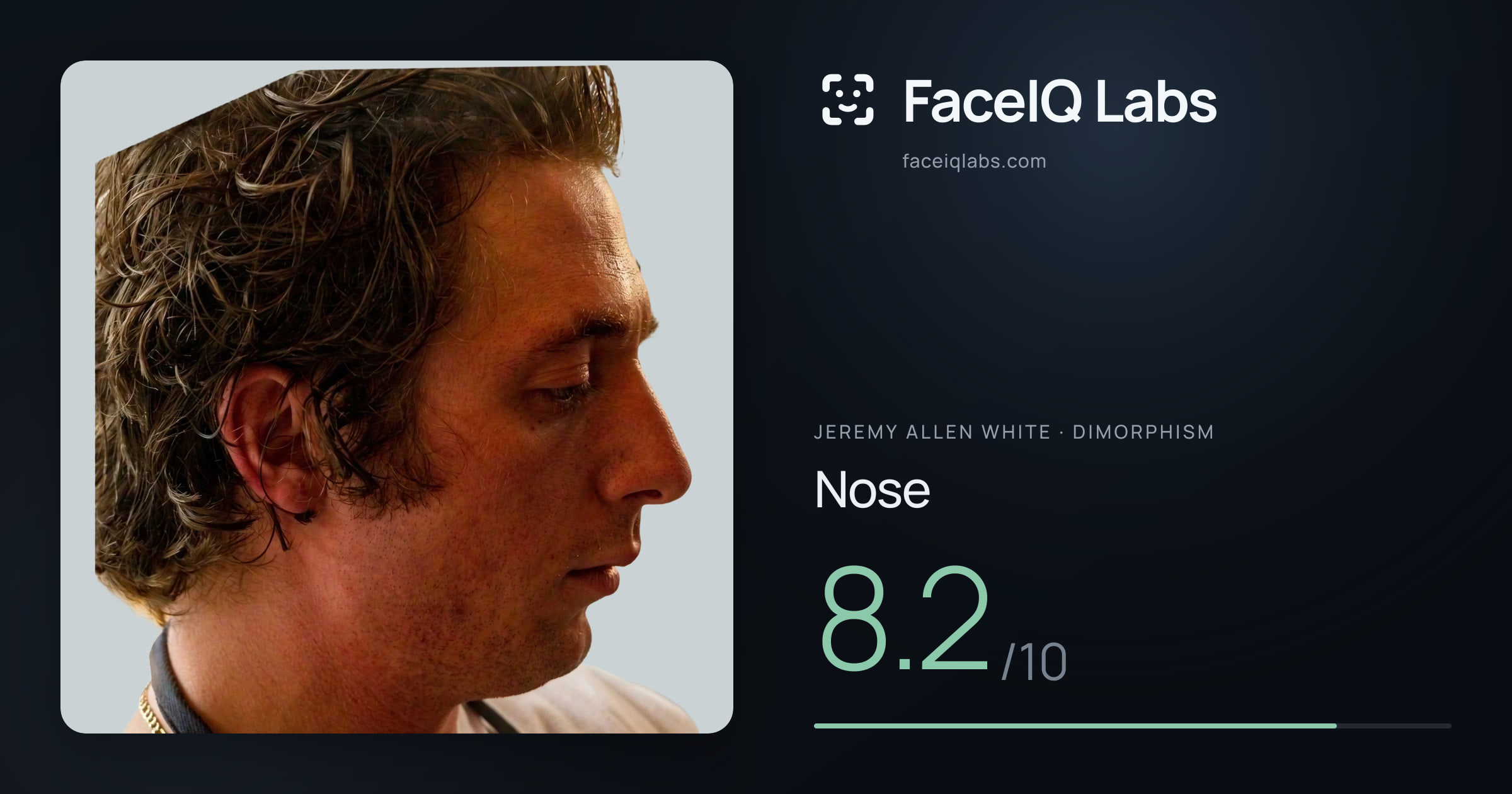 Jeremy Allen White Nose: 8.2/10, drawn on the photo