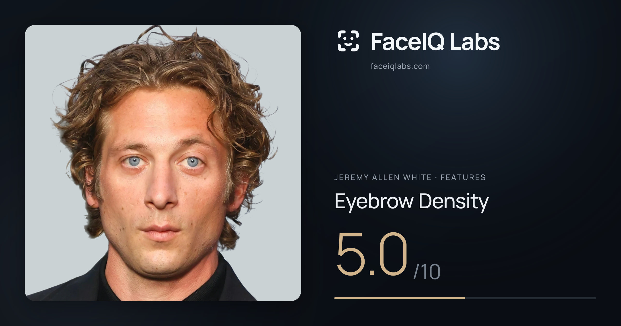 Jeremy Allen White Eyebrow Density: 5.0/10, drawn on the photo