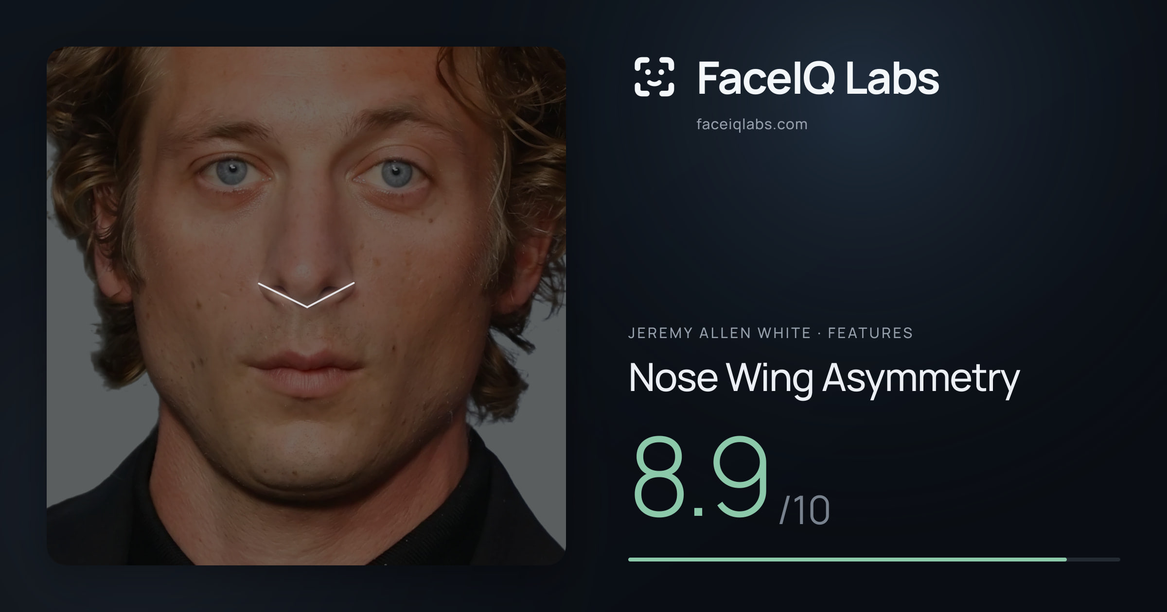 Jeremy Allen White Nose Wing Asymmetry: 8.9/10, drawn on the photo