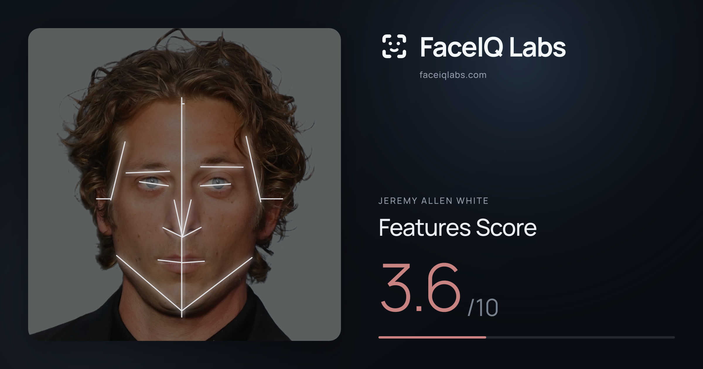 Jeremy Allen White Features: 3.6/10, with each assessment drawn on the photo