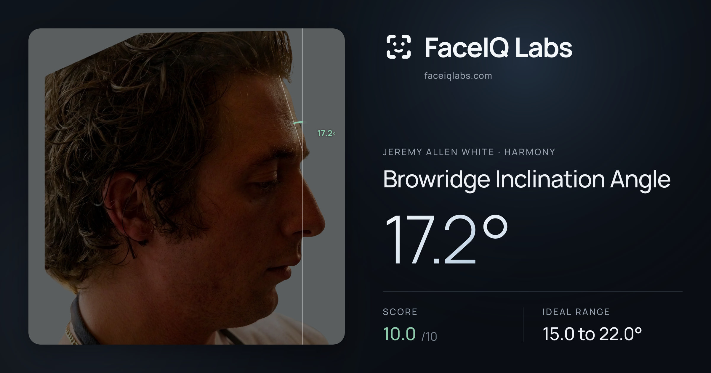 Jeremy Allen White Browridge Inclination Angle: 17.2°, drawn on the photo