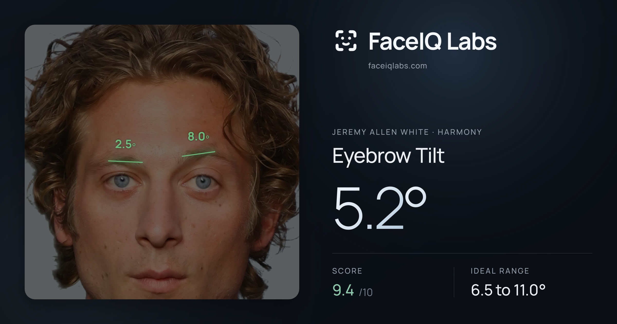 Jeremy Allen White Eyebrow Tilt: 5.2°, drawn on the photo