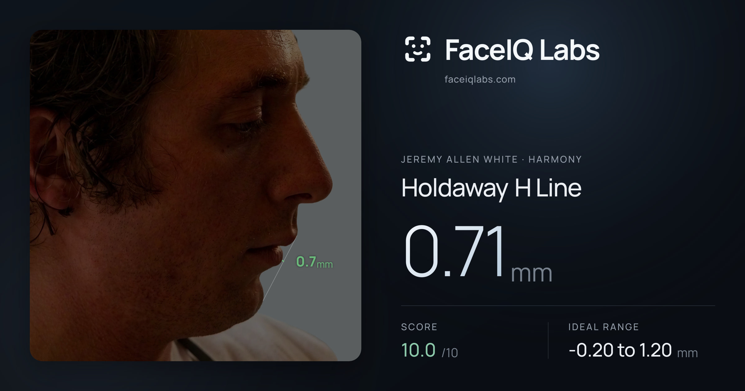 Jeremy Allen White Holdaway H Line: 0.71mm, drawn on the photo