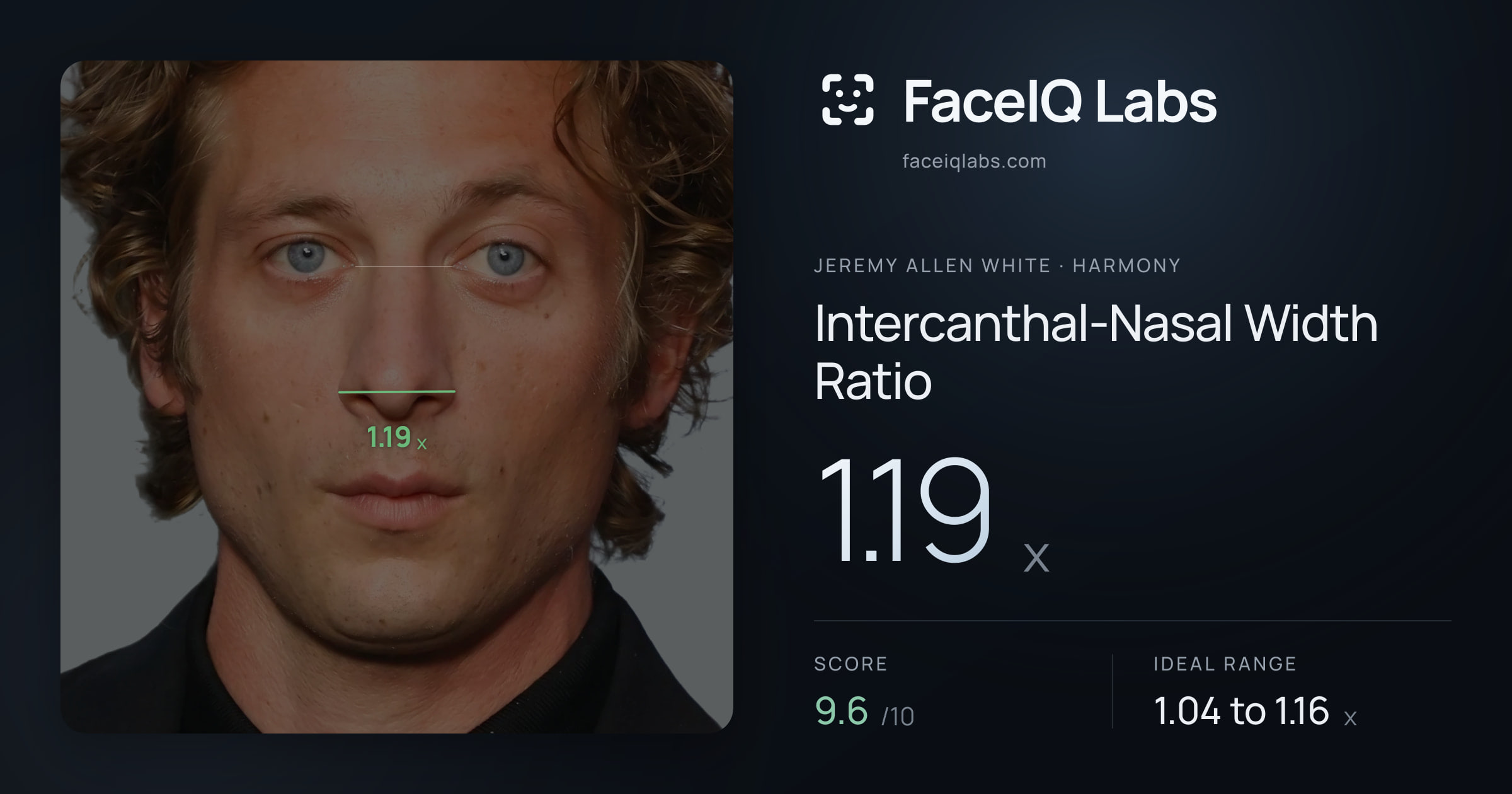 Jeremy Allen White Intercanthal-Nasal Width Ratio: 1.19x, drawn on the photo