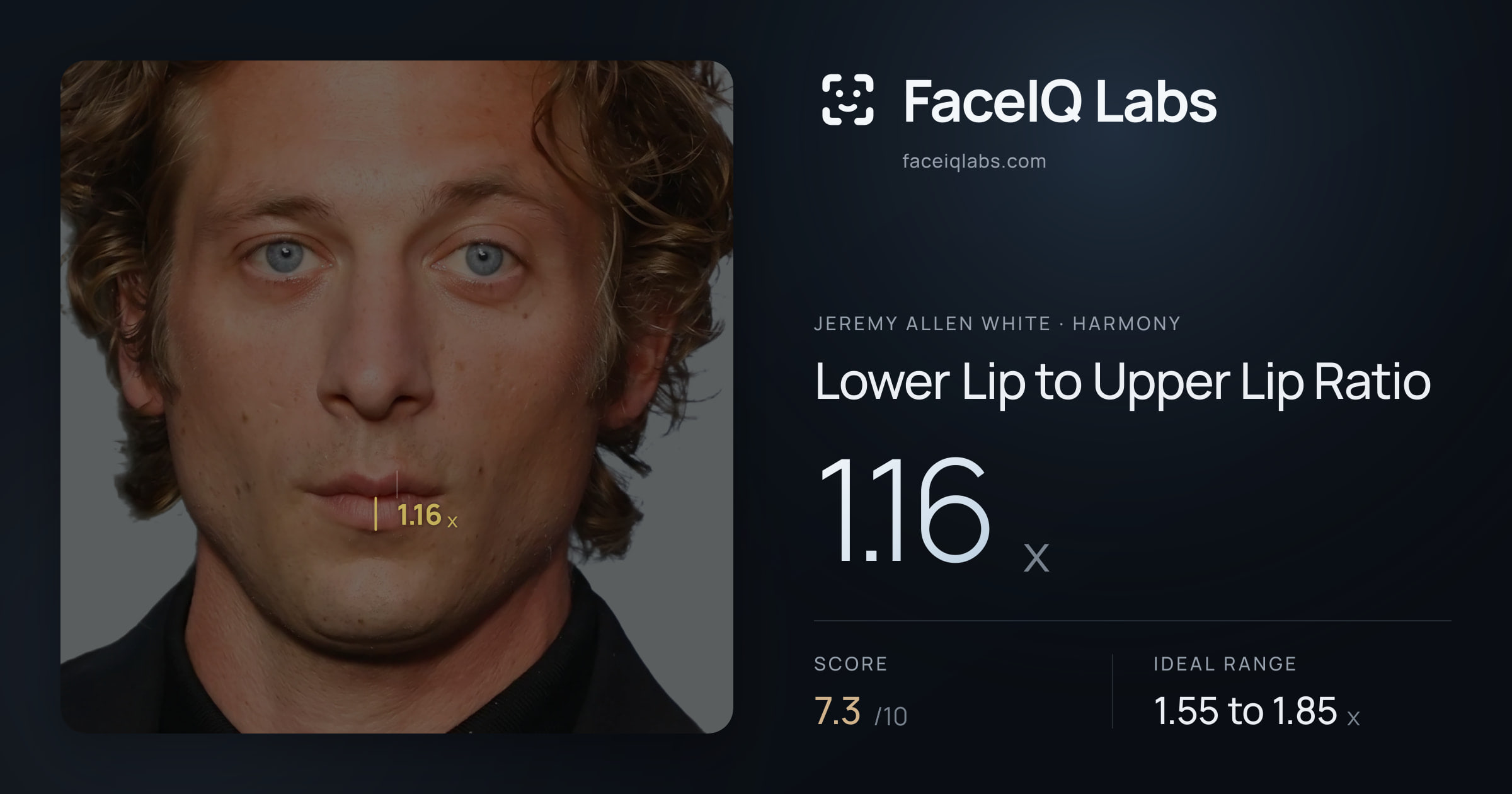 Jeremy Allen White Lower Lip to Upper Lip Ratio: 1.16x, drawn on the photo