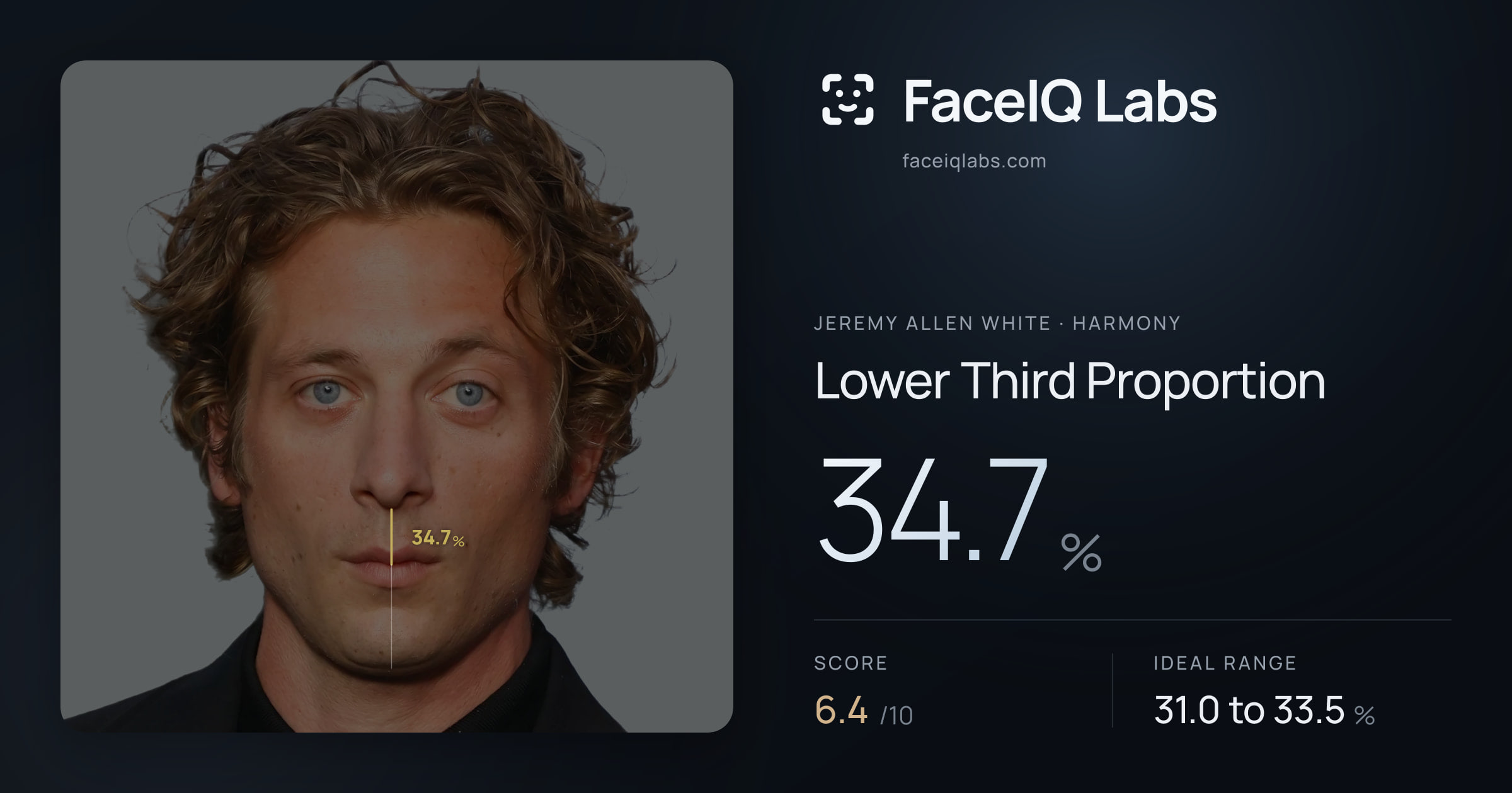 Jeremy Allen White Lower Third Proportion: 34.7%, drawn on the photo