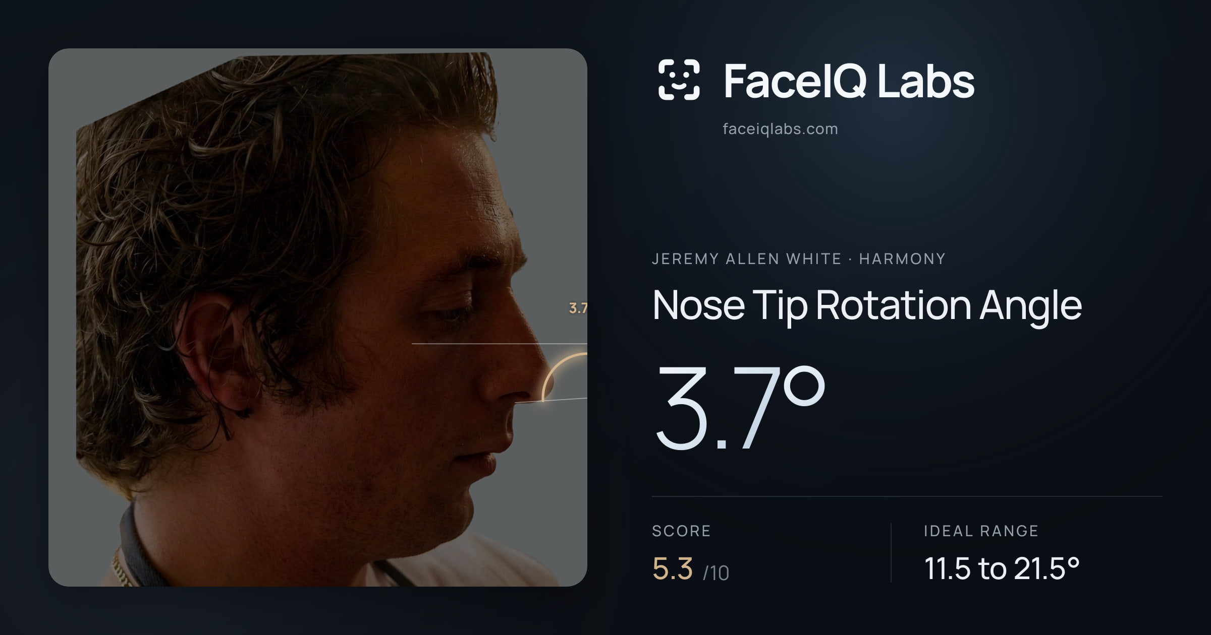 Jeremy Allen White Nose Tip Rotation Angle: 3.7°, drawn on the photo