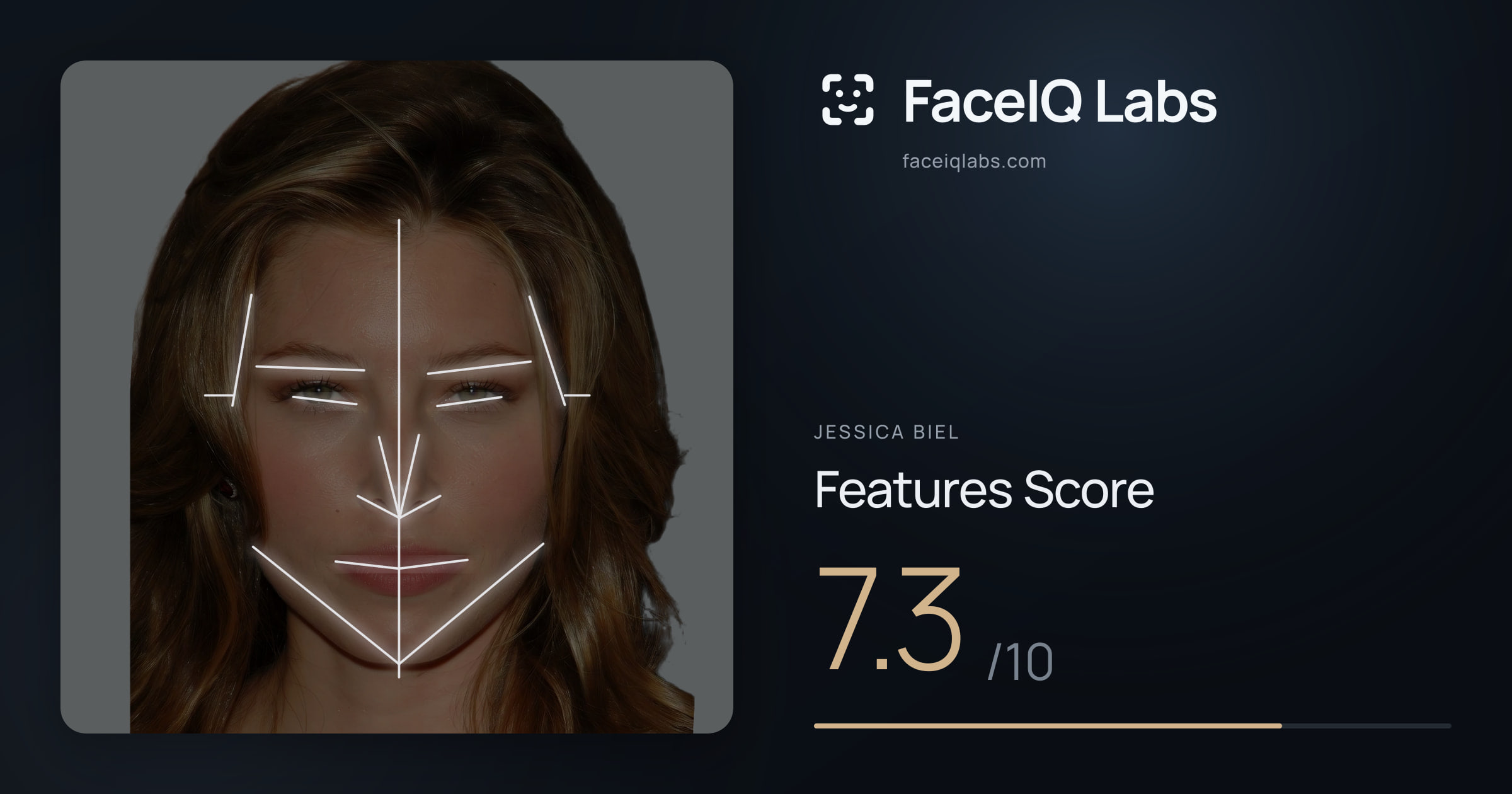 Jessica Biel Features: 7.3/10, with each assessment drawn on the photo