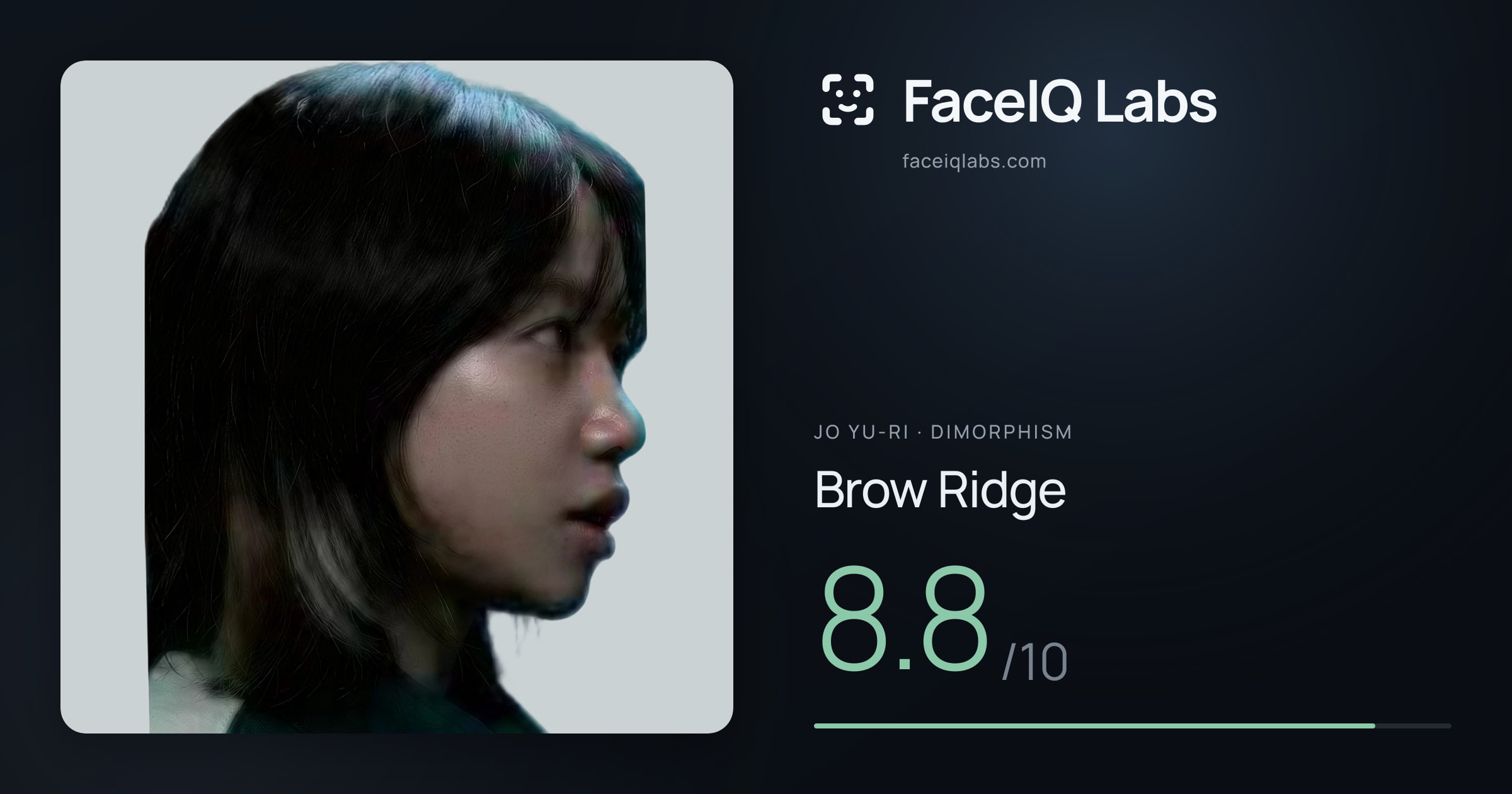 Jo Yu-ri Brow Ridge: 8.8/10, drawn on the photo