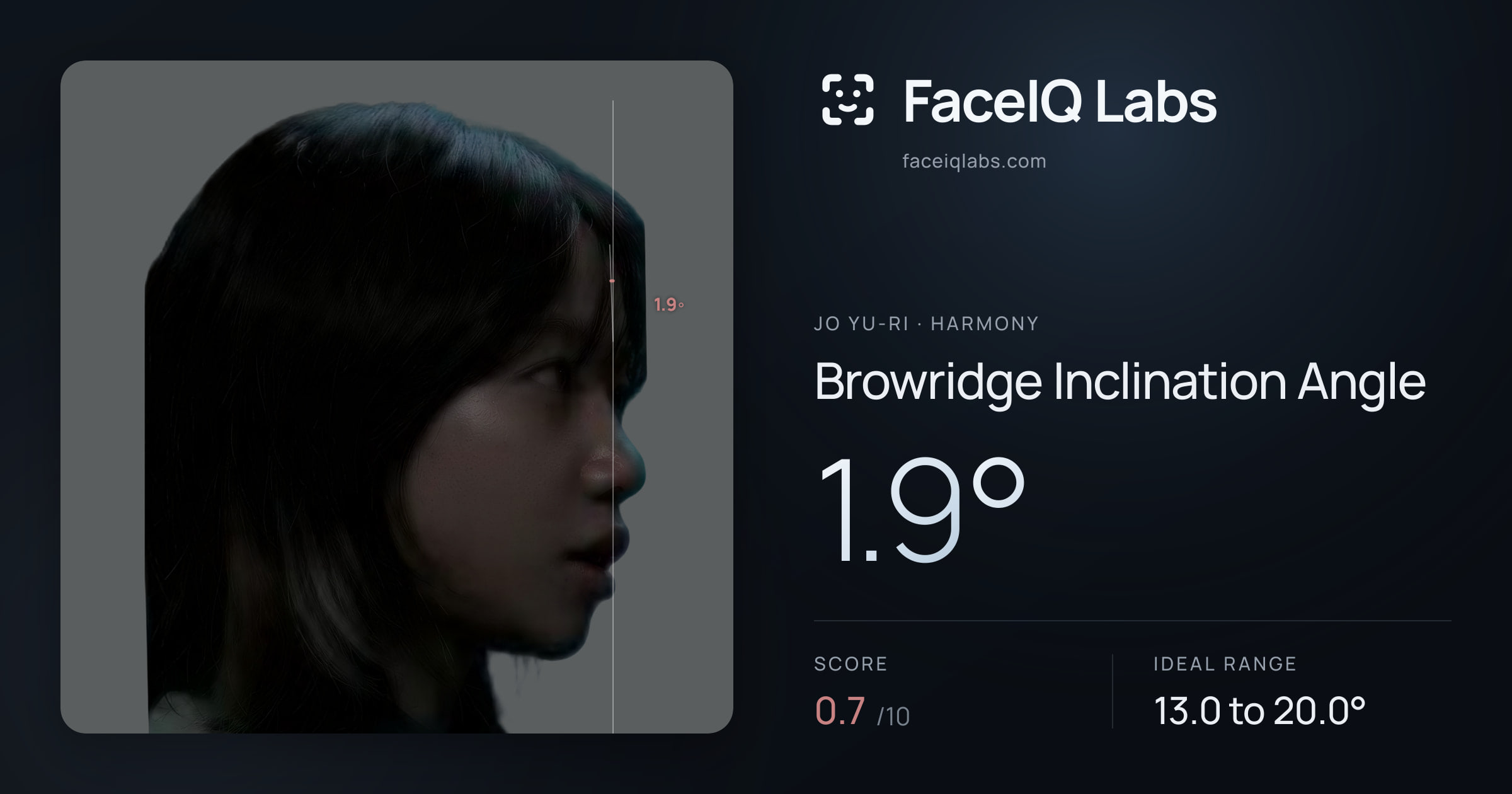 Jo Yu-ri Browridge Inclination Angle: 1.9°, drawn on the photo