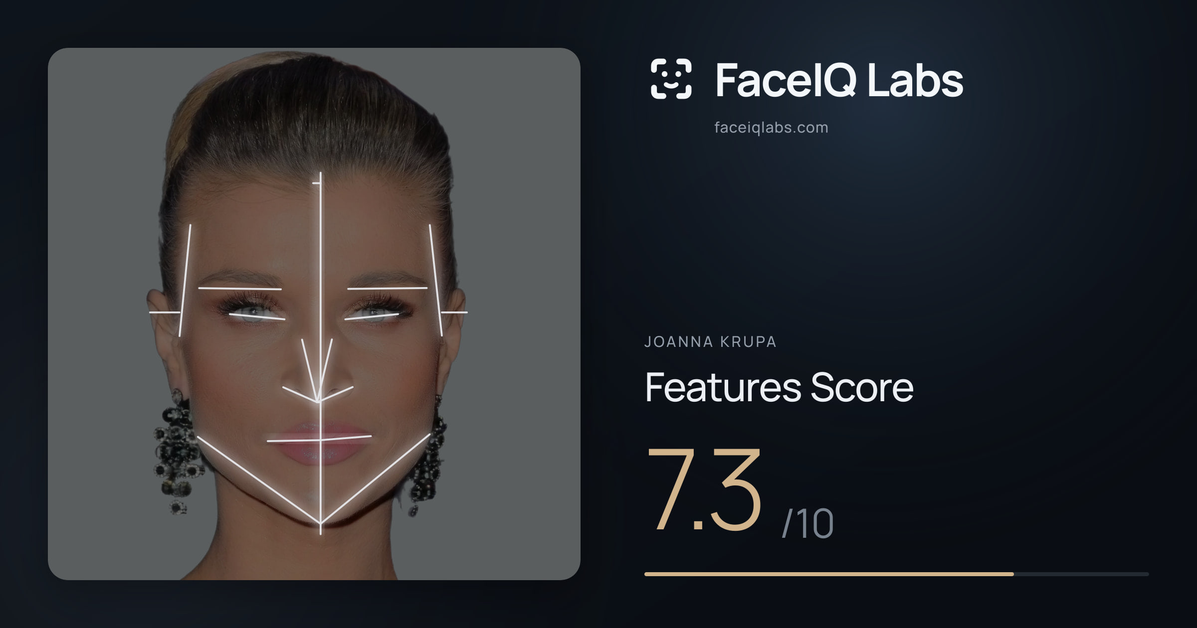 Joanna Krupa Features: 7.3/10, with each assessment drawn on the photo