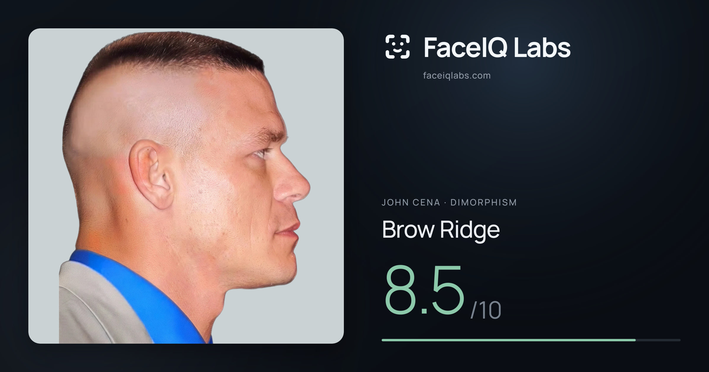 John Cena Brow Ridge: 8.5/10, drawn on the photo